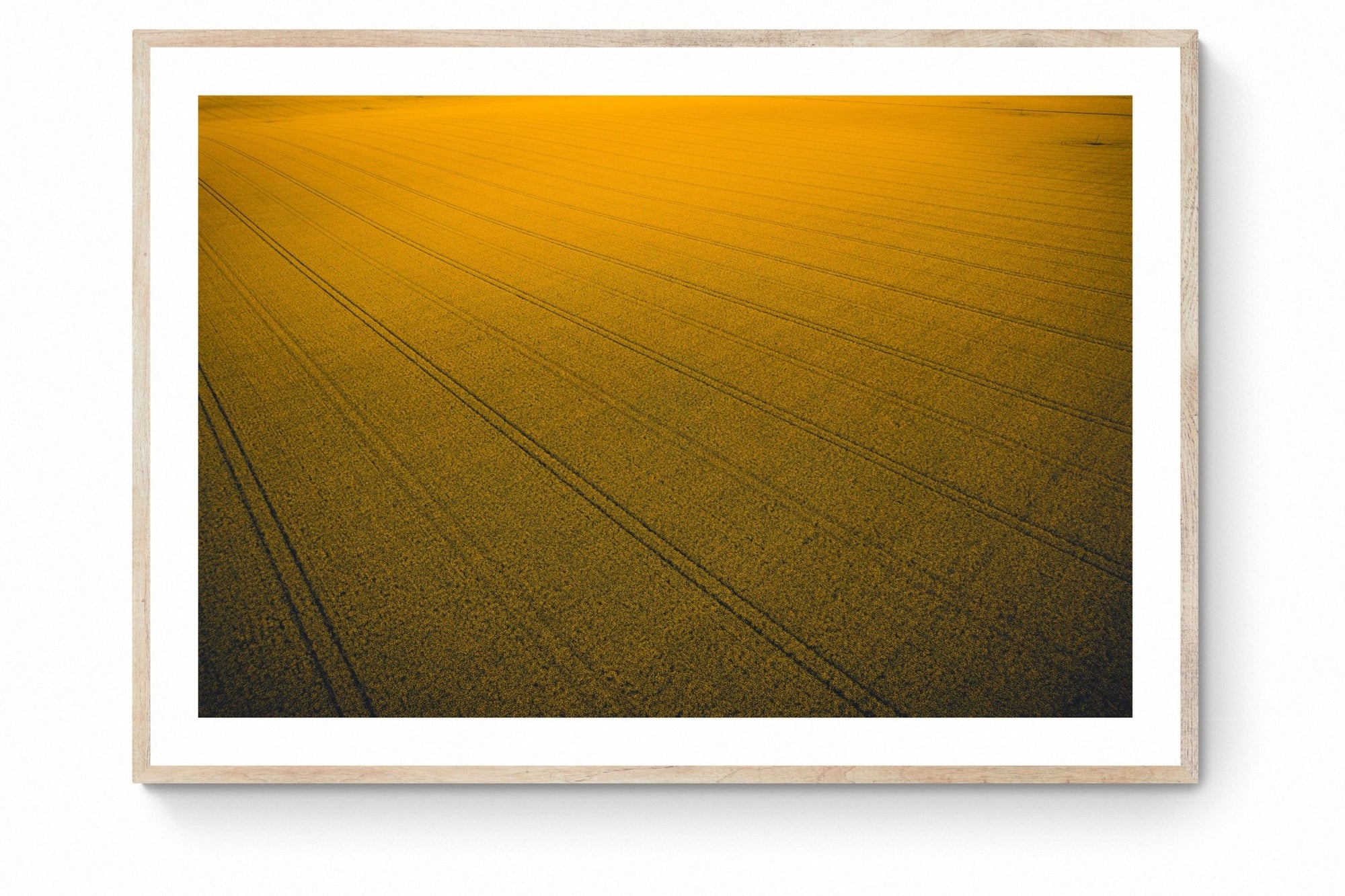 Zaki - Mingenew Wall Art - Framed Print - Days Adrift