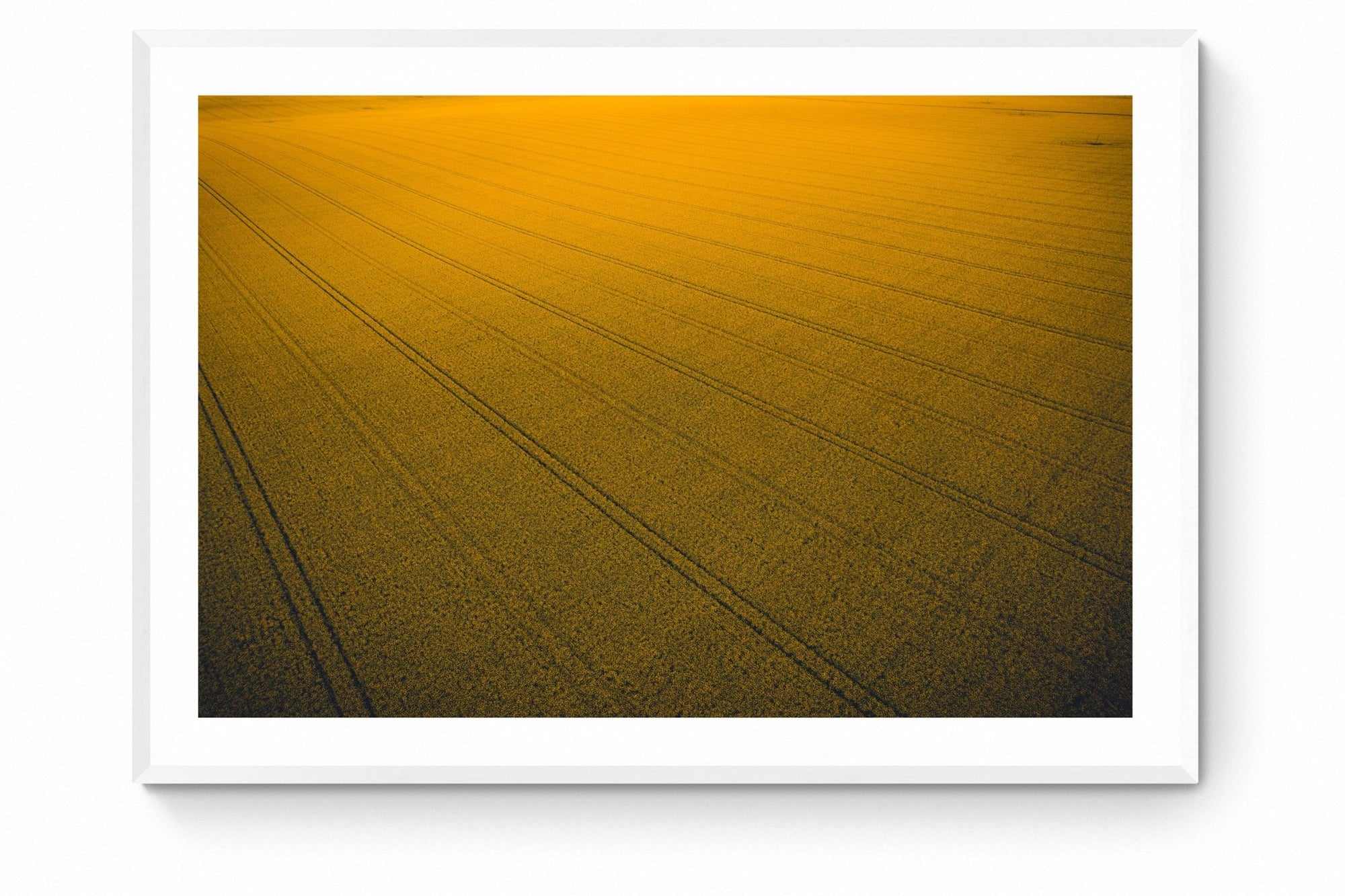 Zaki - Mingenew Wall Art - Framed Print - Days Adrift