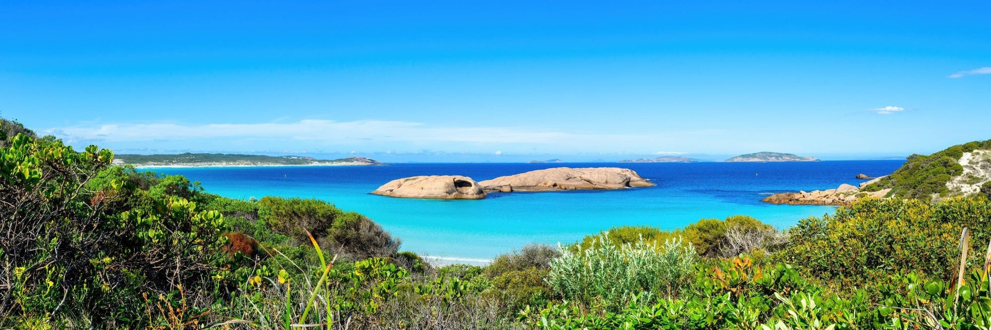 Alice - Esperance Wall Art - Framed Print - Days Adrift