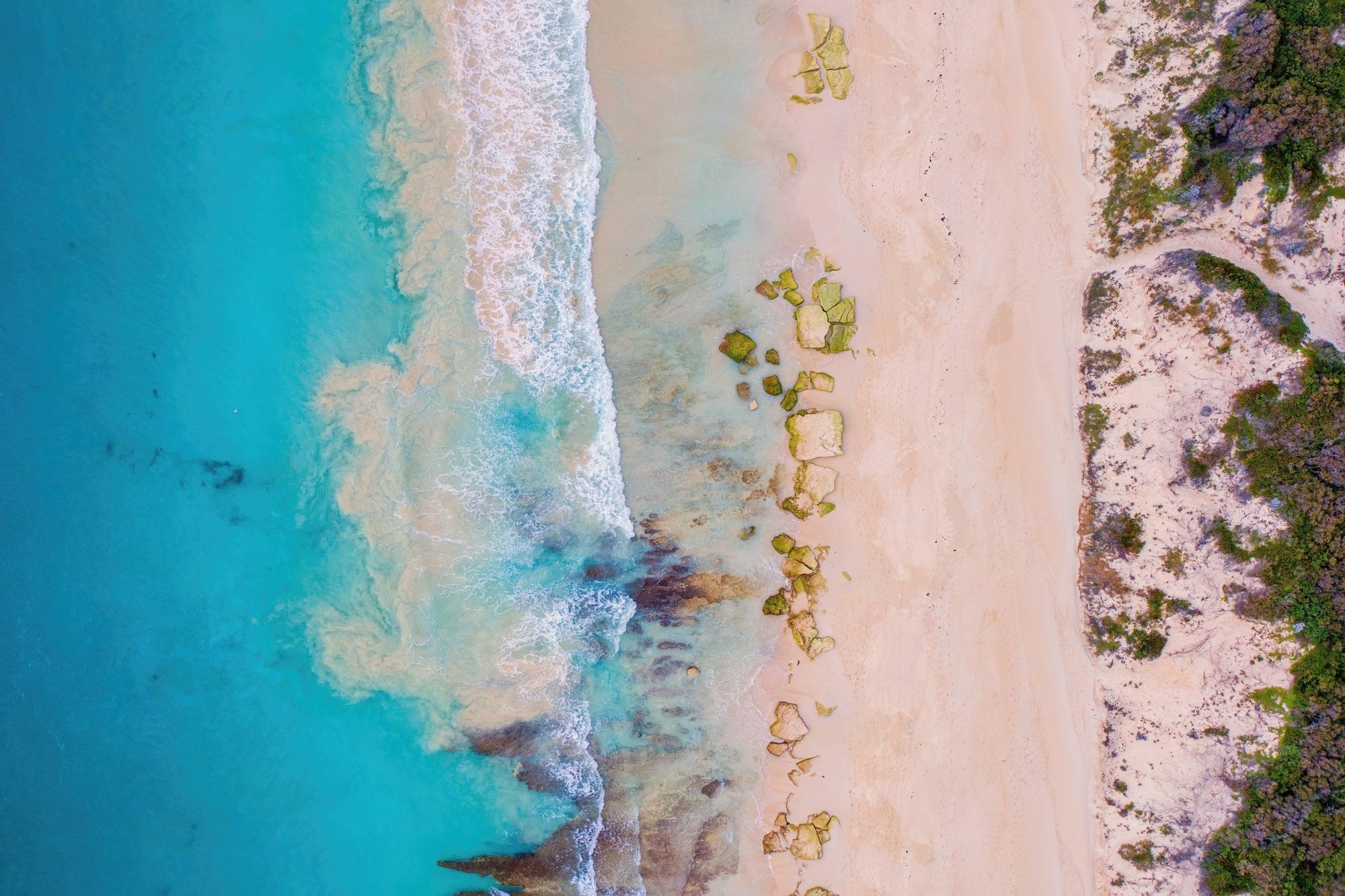 Amber - Hamelin Bay Wall Art - Digital Download - Days Adrift