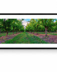 Apple - Tasmania Wall Art - Framed Print - Days Adrift