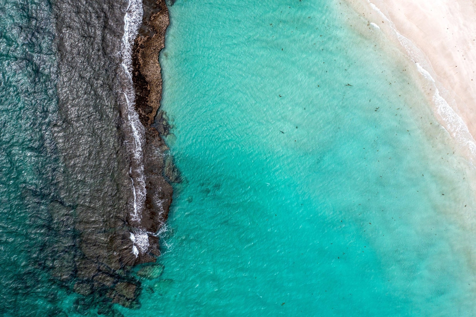 Beau - Coral Bay Wall Art - Digital Download - Days Adrift