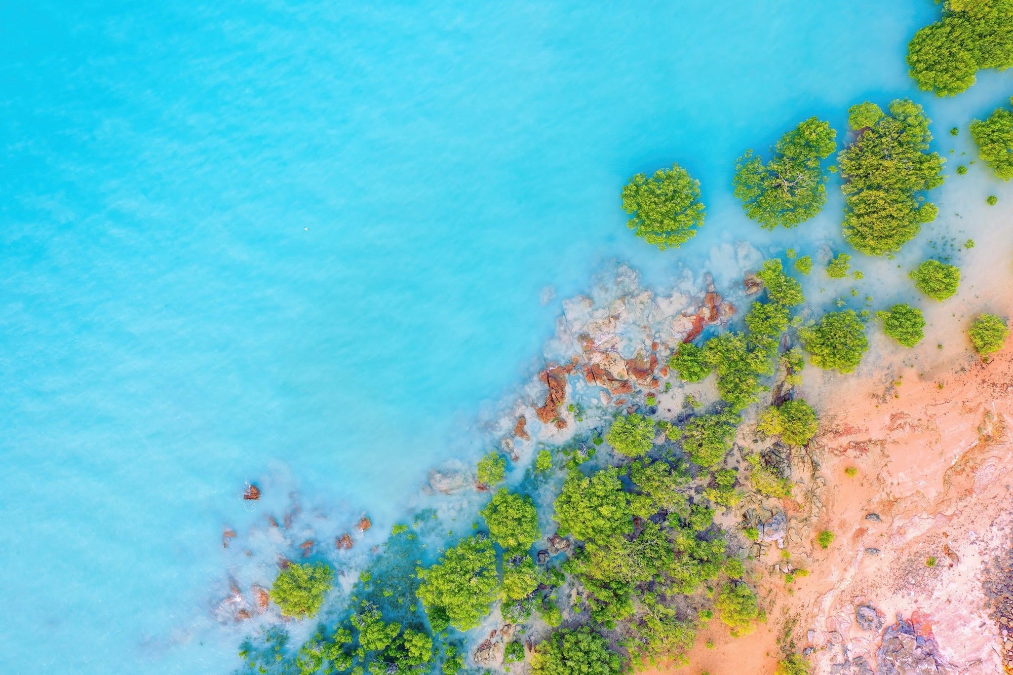 Billy - Broome Wall Art - Digital Download - Days Adrift