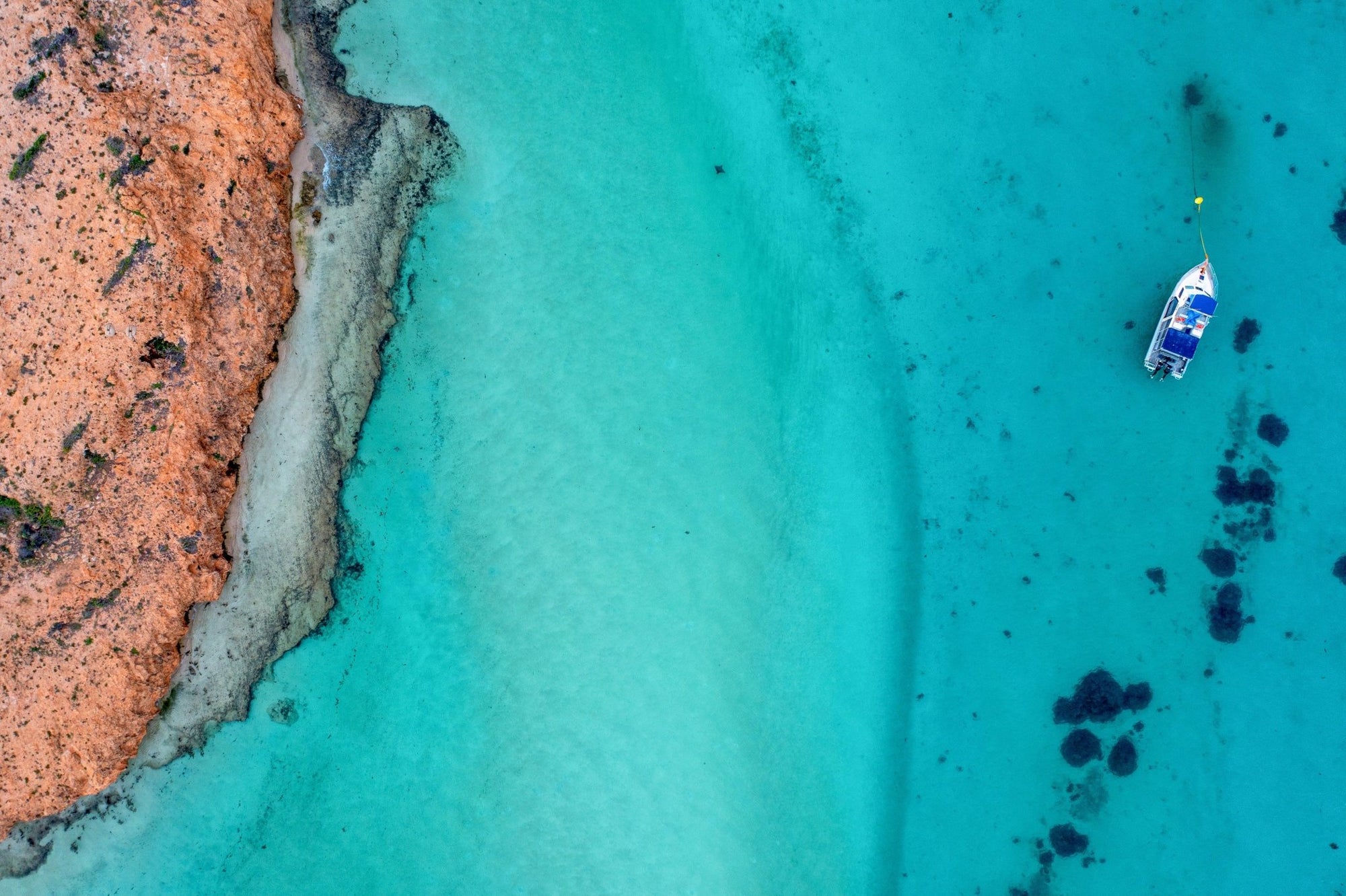 Blair - Coral Bay Wall Art - Digital Download - Days Adrift