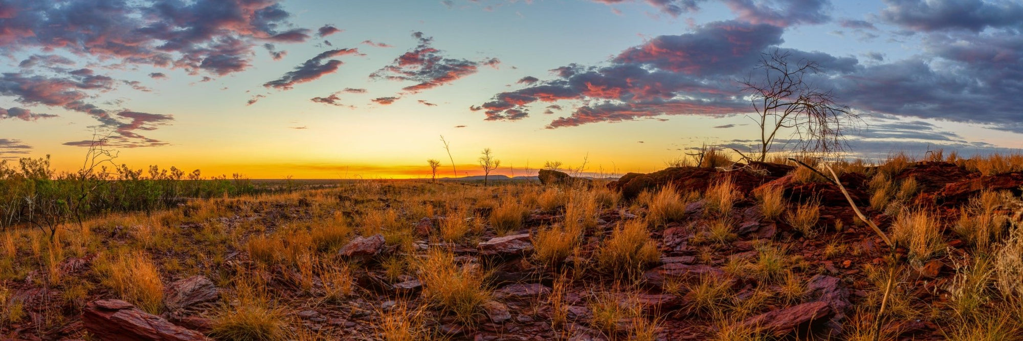 Bray - Newman Wall Art - Digital Download - Days Adrift