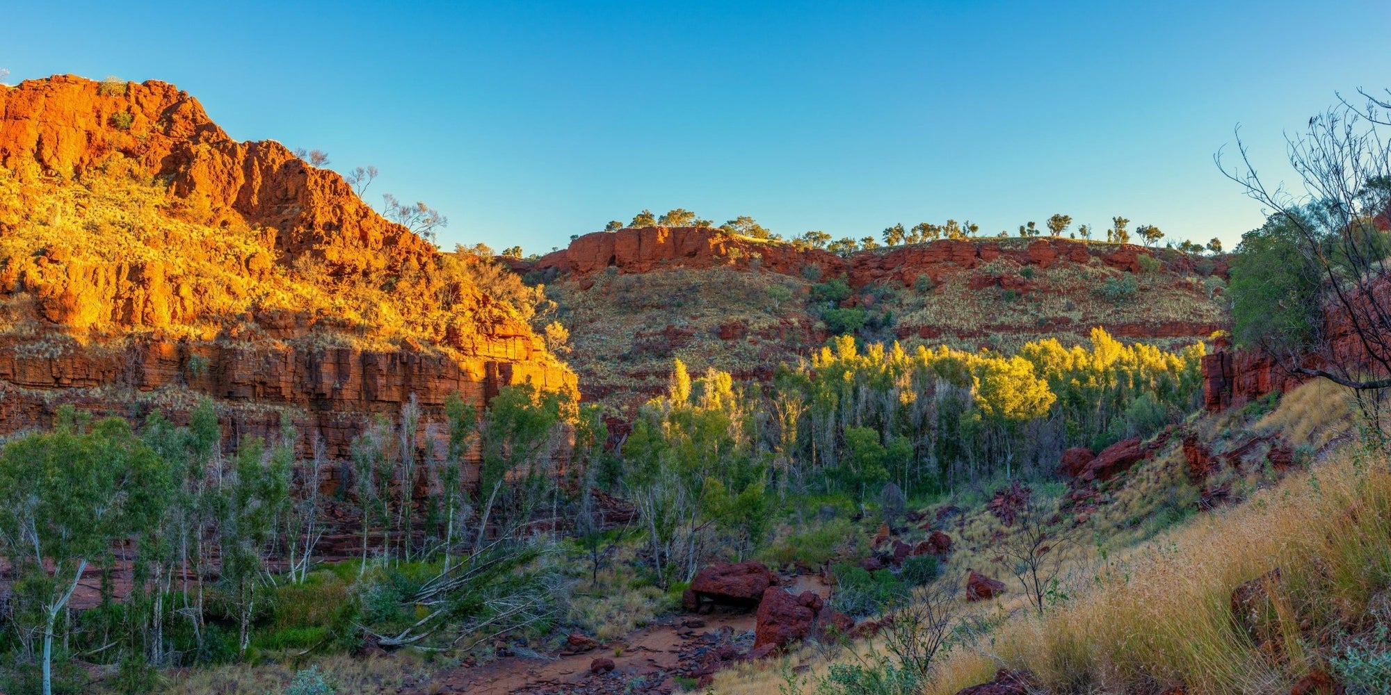 Bree - Karijini Wall Art - Digital Download - Days Adrift