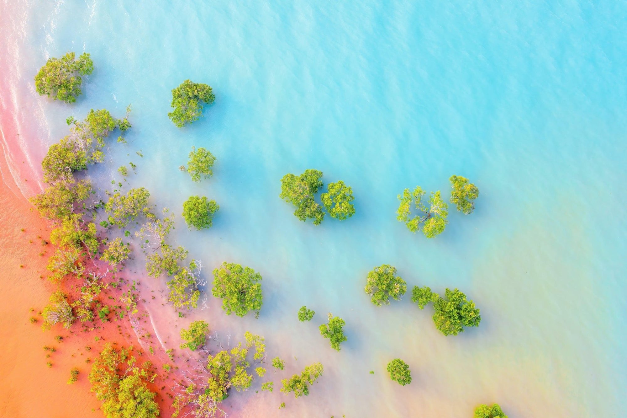 Brielle - Broome Wall Art - Digital Download - Days Adrift