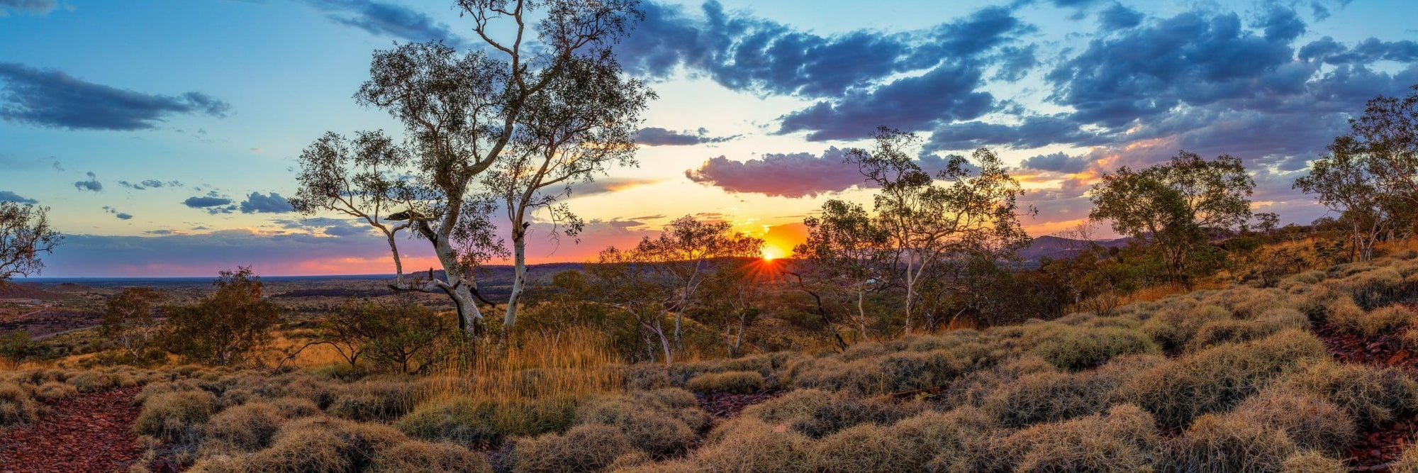 Coda - Newman Wall Art - Digital Download - Days Adrift