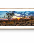 Coda - Newman Wall Art - Framed Print - Days Adrift