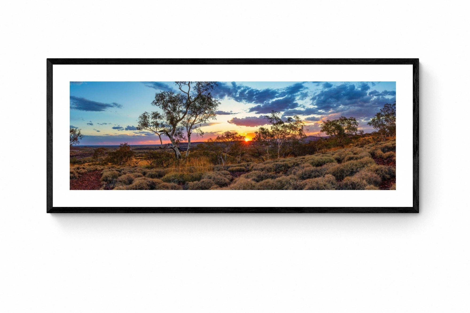 Coda - Newman Wall Art - Framed Print - Days Adrift