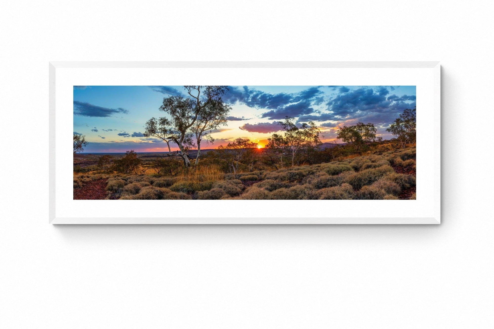 Coda - Newman Wall Art - Framed Print - Days Adrift