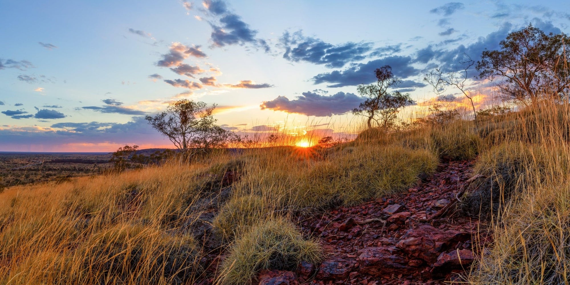 Cooper - Newman Wall Art - Digital Download - Days Adrift