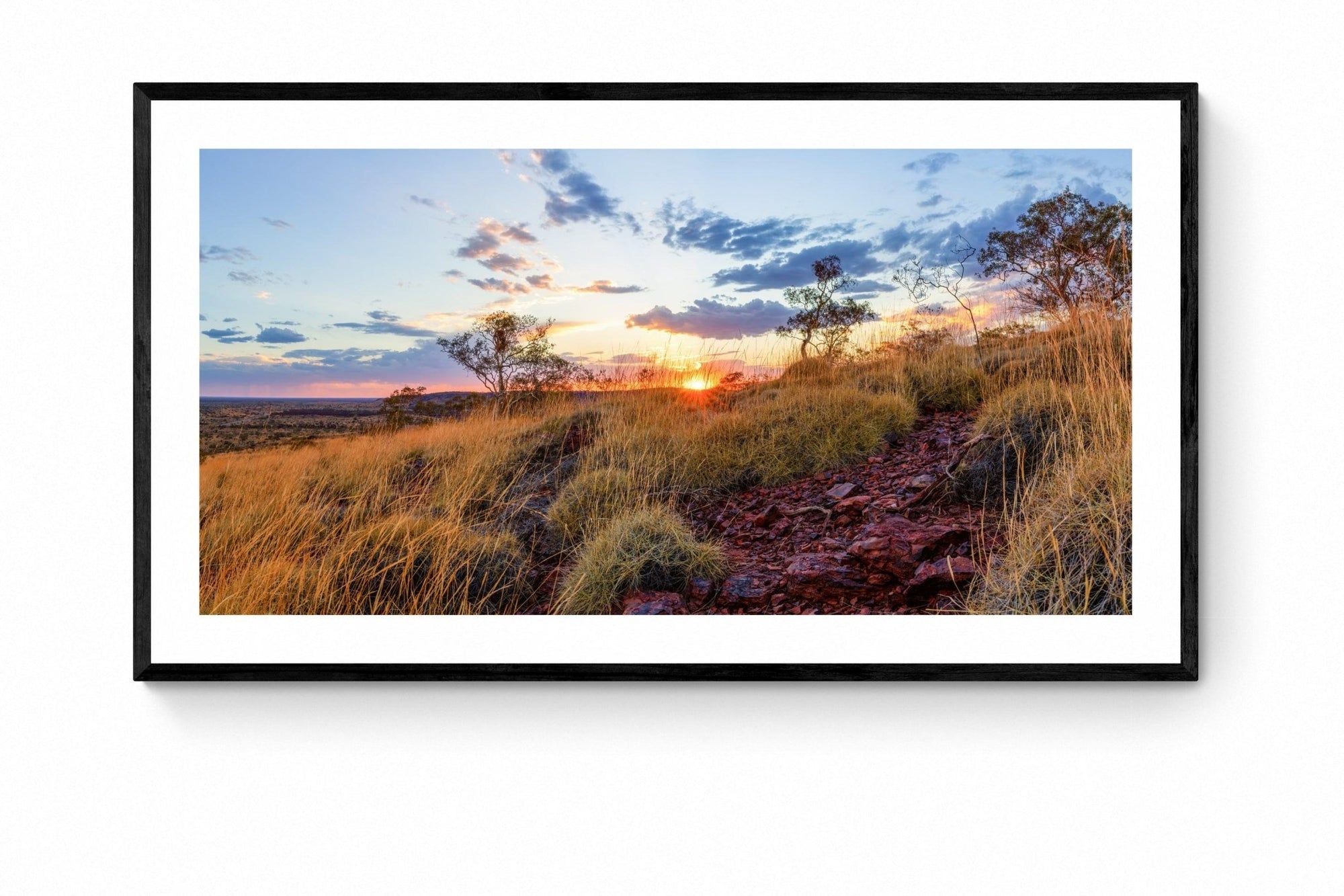 Cooper - Newman Wall Art - Framed Print - Days Adrift