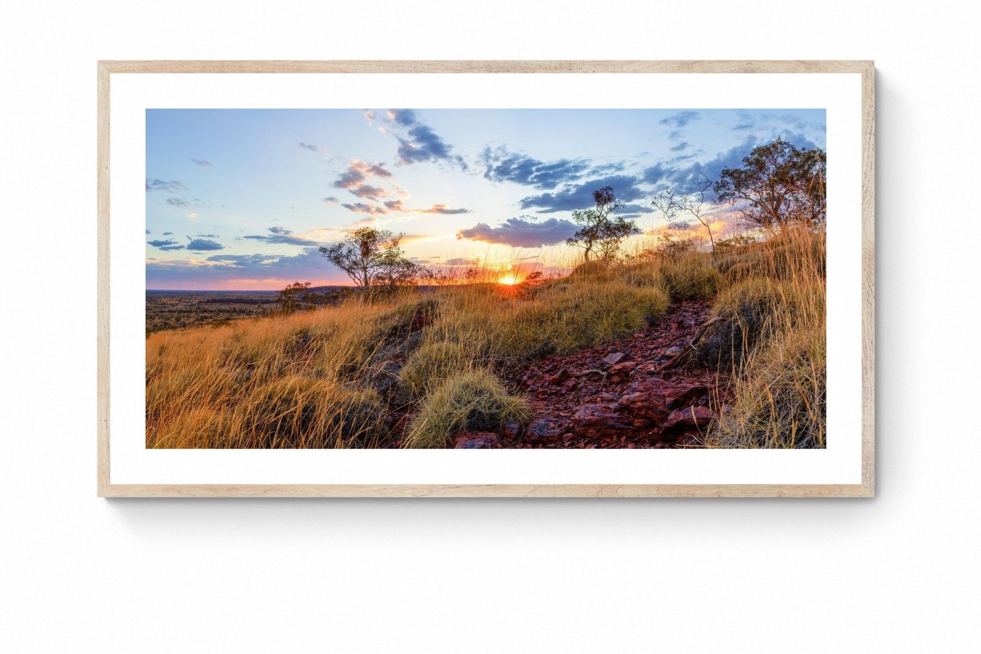 Cooper - Newman Wall Art - Framed Print - Days Adrift