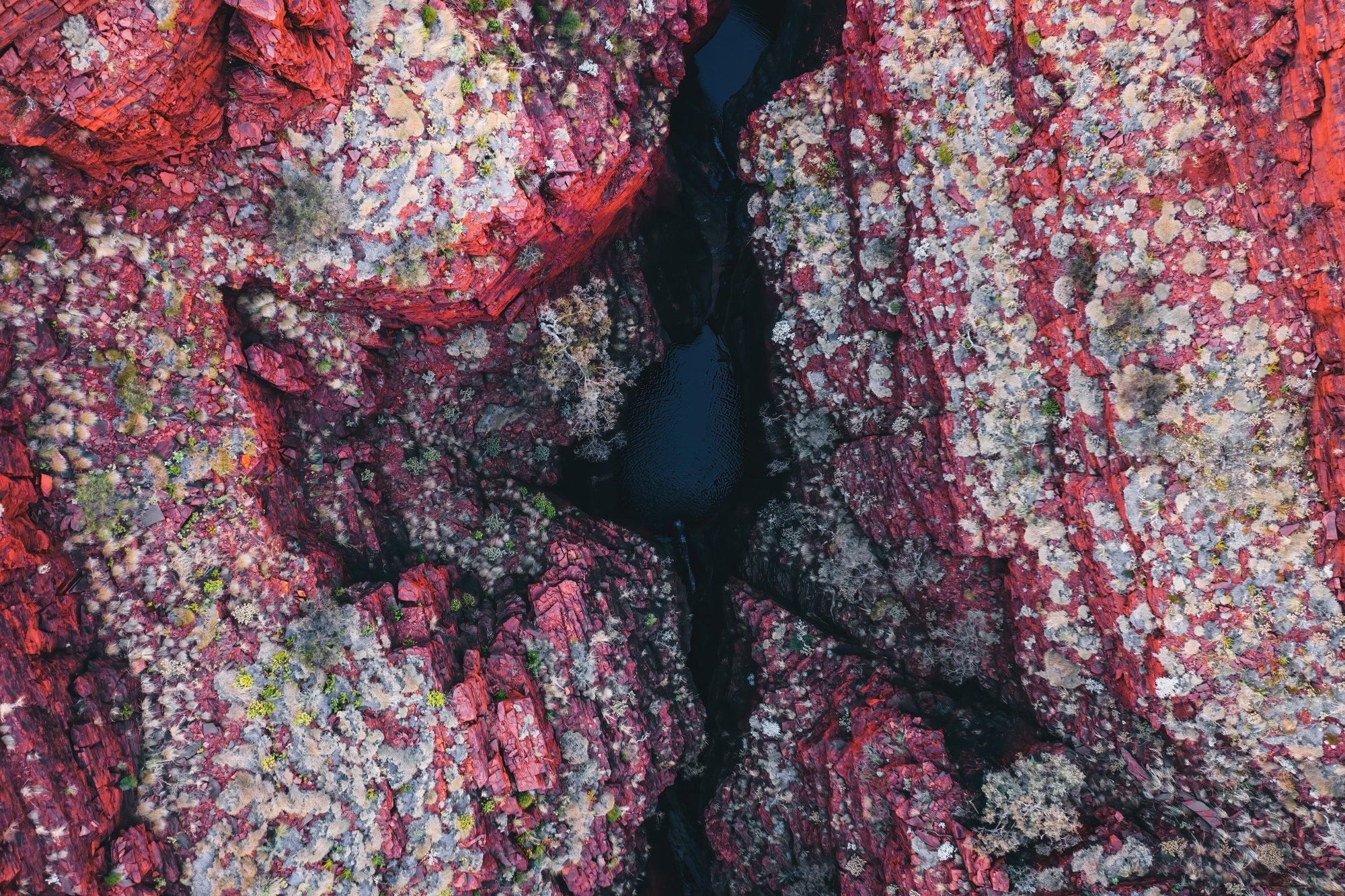 Cyrus - Karijini Wall Art - Digital Download - Days Adrift