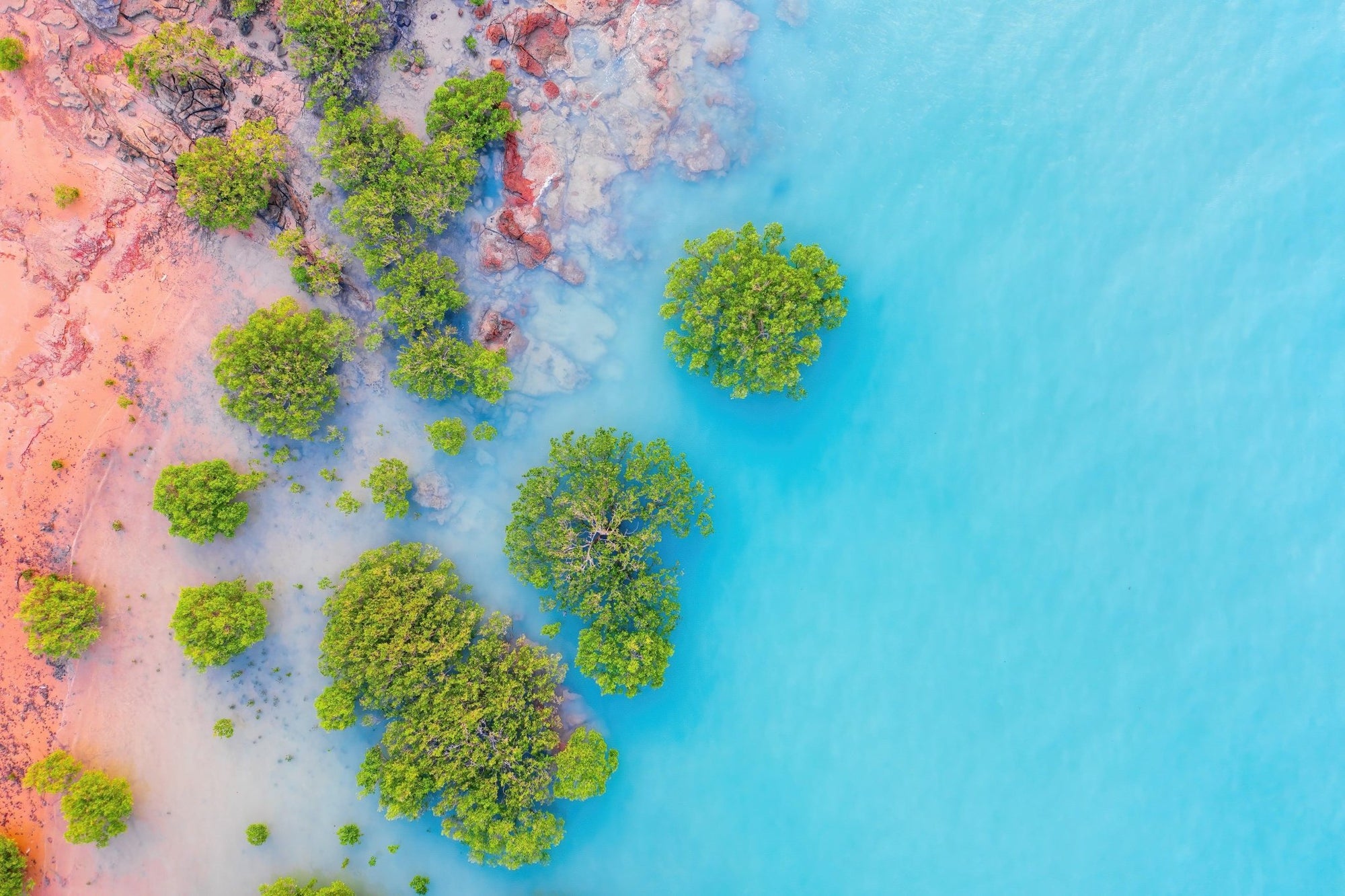 Dale - Broome Wall Art - Digital Download - Days Adrift