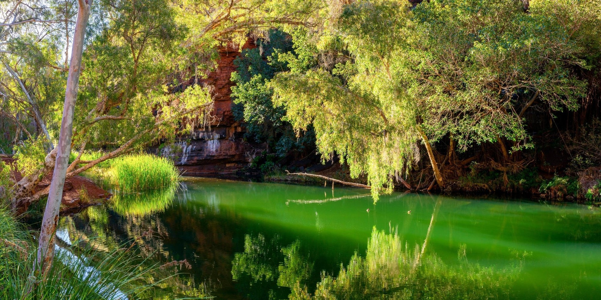 Daniel - Karijini Wall Art - Digital Download - Days Adrift