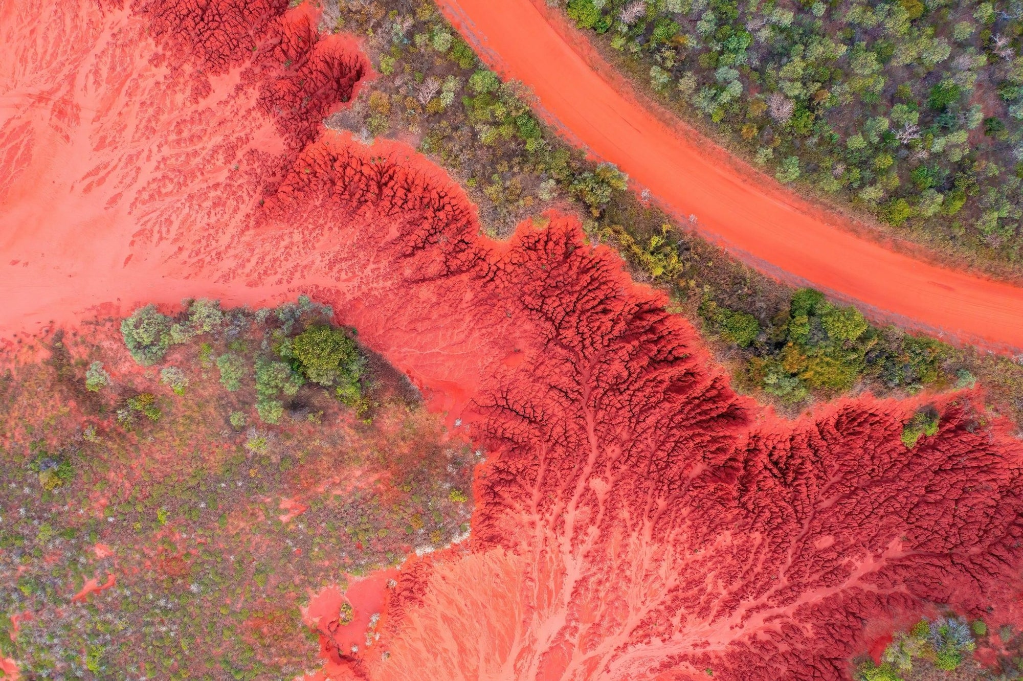 Dante - James Price Point Wall Art - Framed Print - Days Adrift