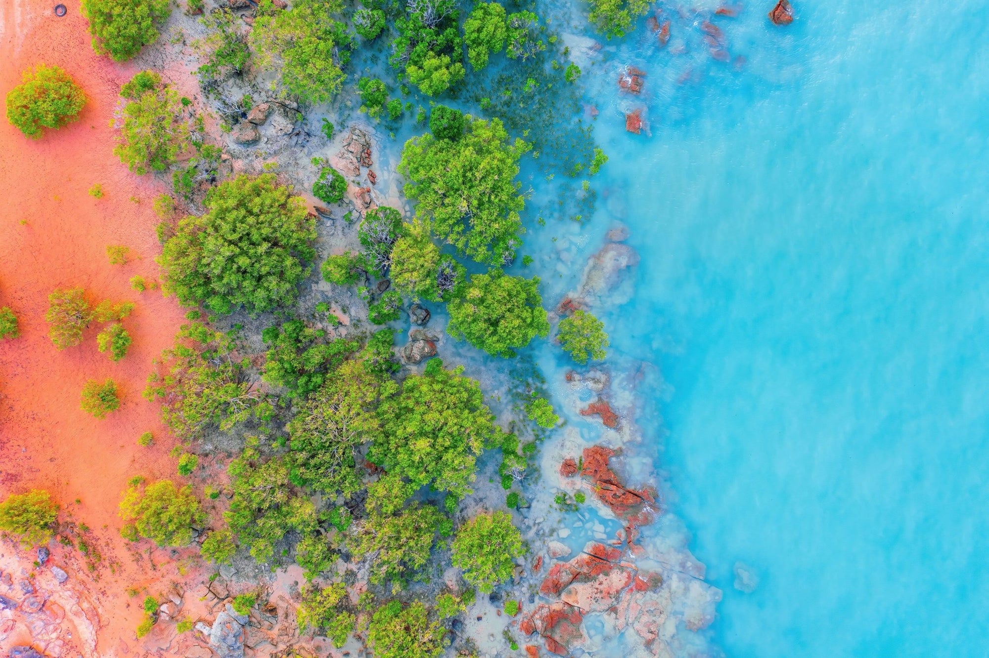 Edison - Broome Wall Art - Digital Download - Days Adrift