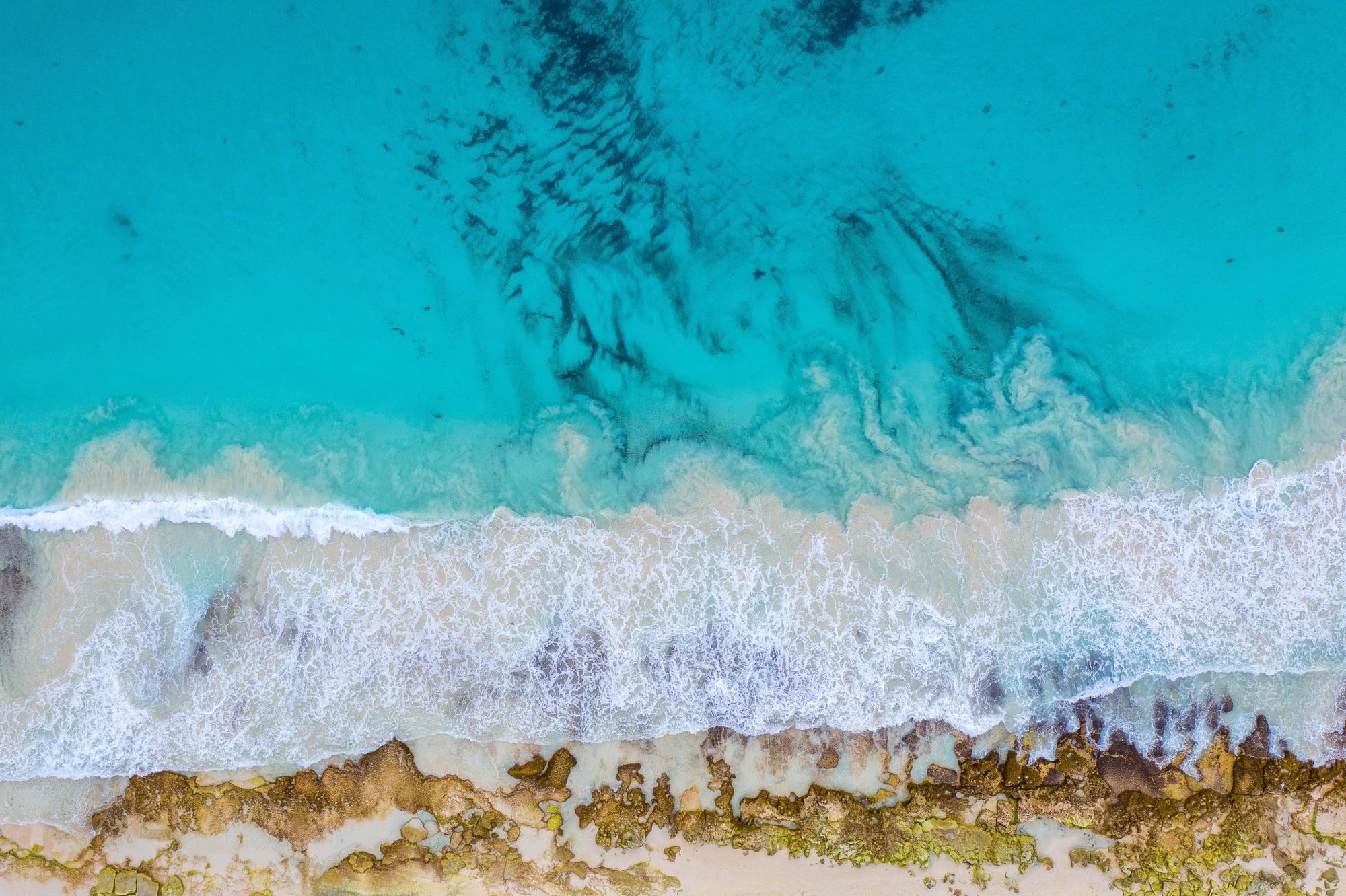 Eleanor - Hamelin Bay Wall Art - Digital Download - Days Adrift