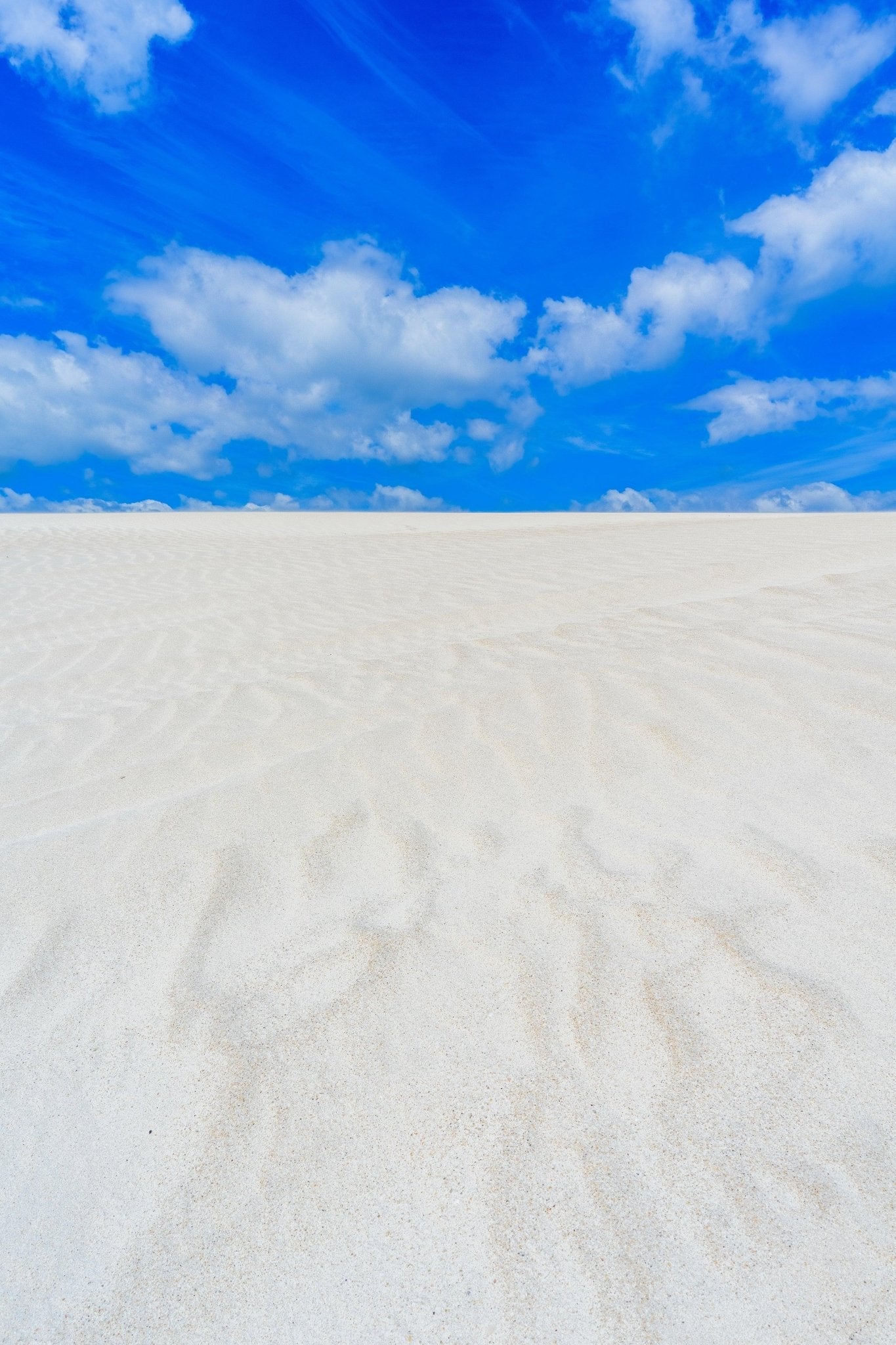 Elijah - Esperance Wall Art - Digital Download - Days Adrift