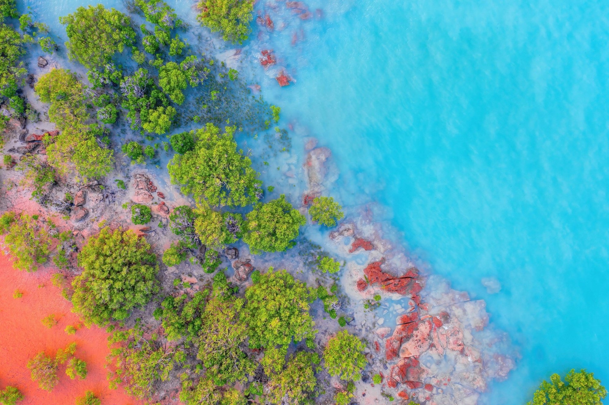 Faiz - Broome Wall Art - Digital Download - Days Adrift