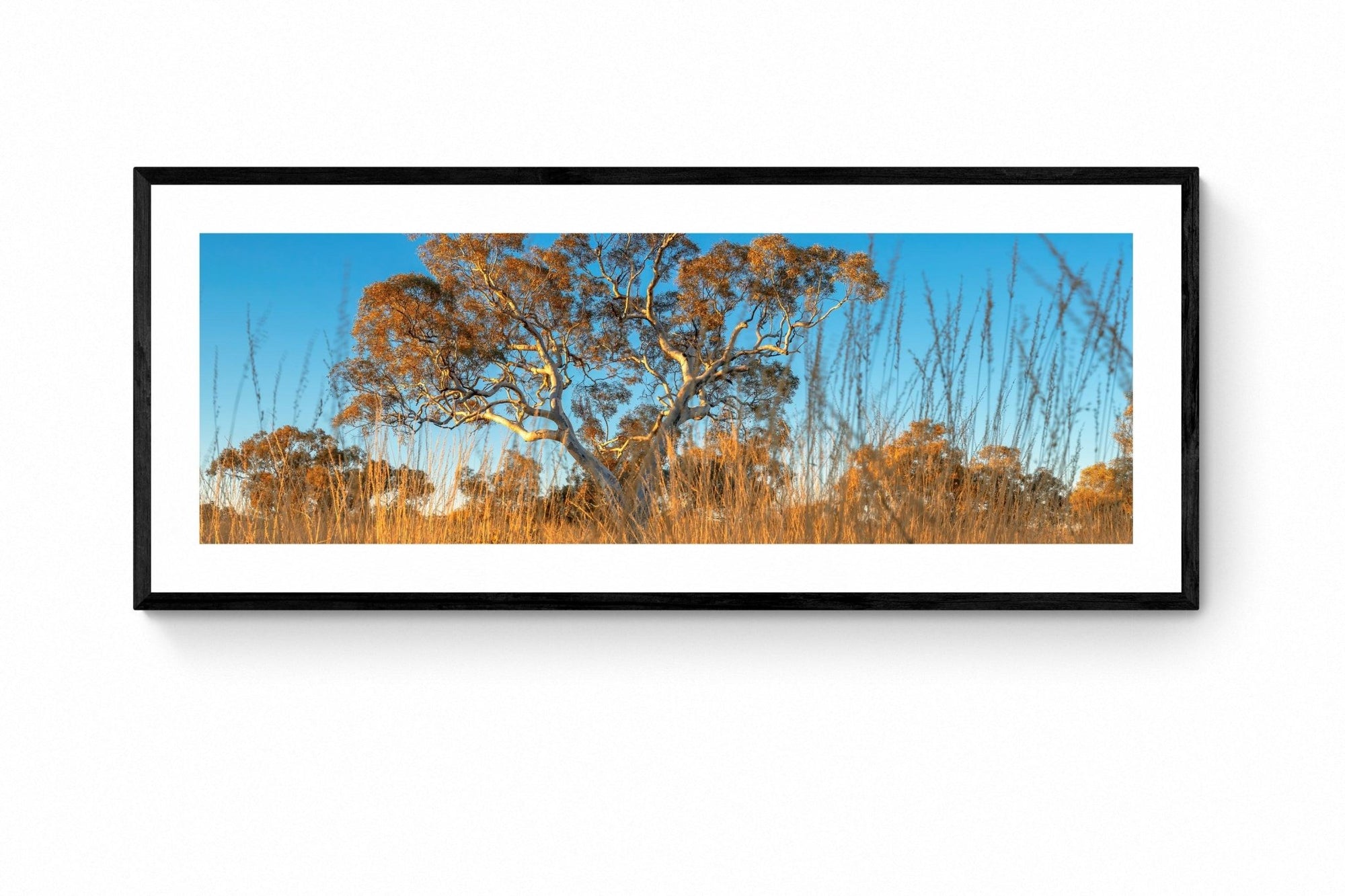 Fletcher - Karijini Wall Art - Framed Print - Days Adrift