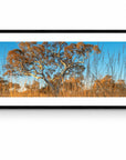 Fletcher - Karijini Wall Art - Framed Print - Days Adrift