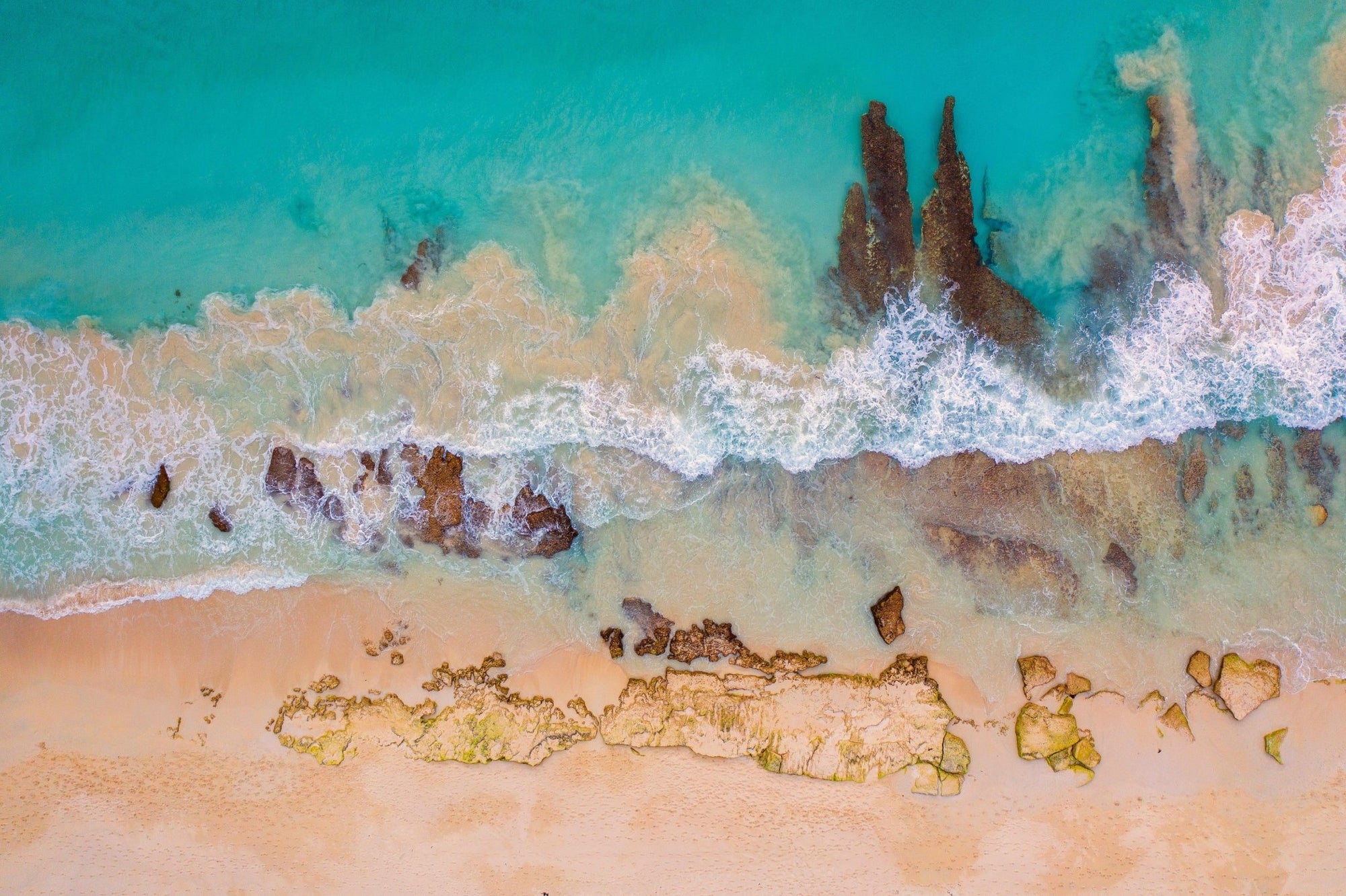 Flynn - Hamelin Bay Wall Art - Digital Download - Days Adrift