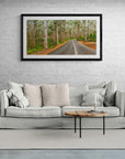Forest - Pemberton Wall Art - Framed Print - Days Adrift