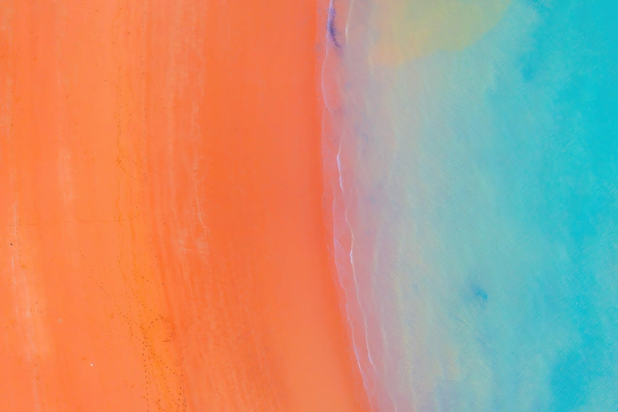 Haaris - Broome Wall Art - Digital Download - Days Adrift