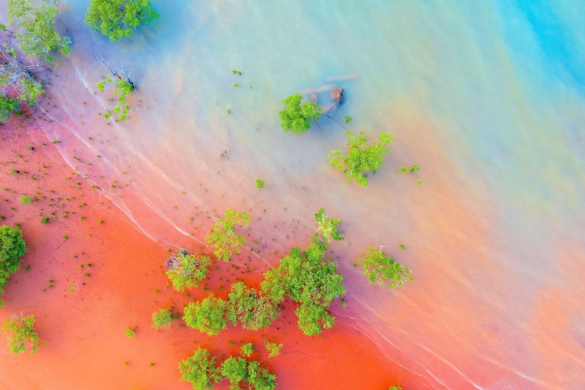 Halia - Broome Wall Art - Framed Print - Days Adrift