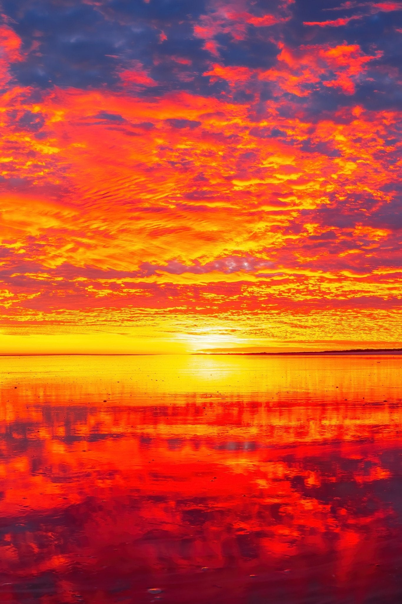 Halley - Eighty Mile Beach Wall Art - Digital Download - Days Adrift