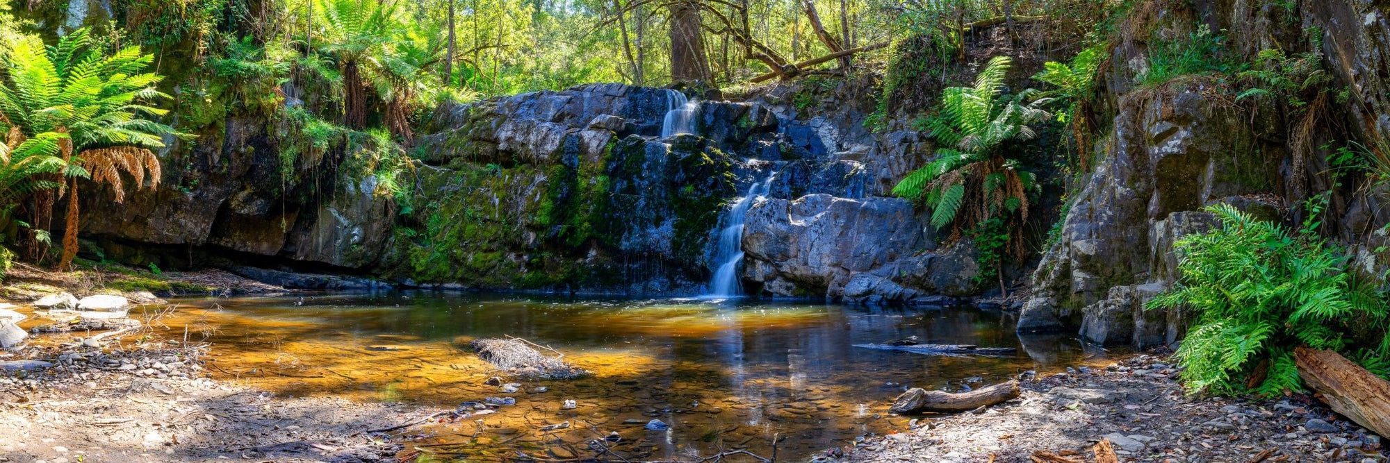 Hao - Lilydale Falls Wall Art - Digital Download - Days Adrift