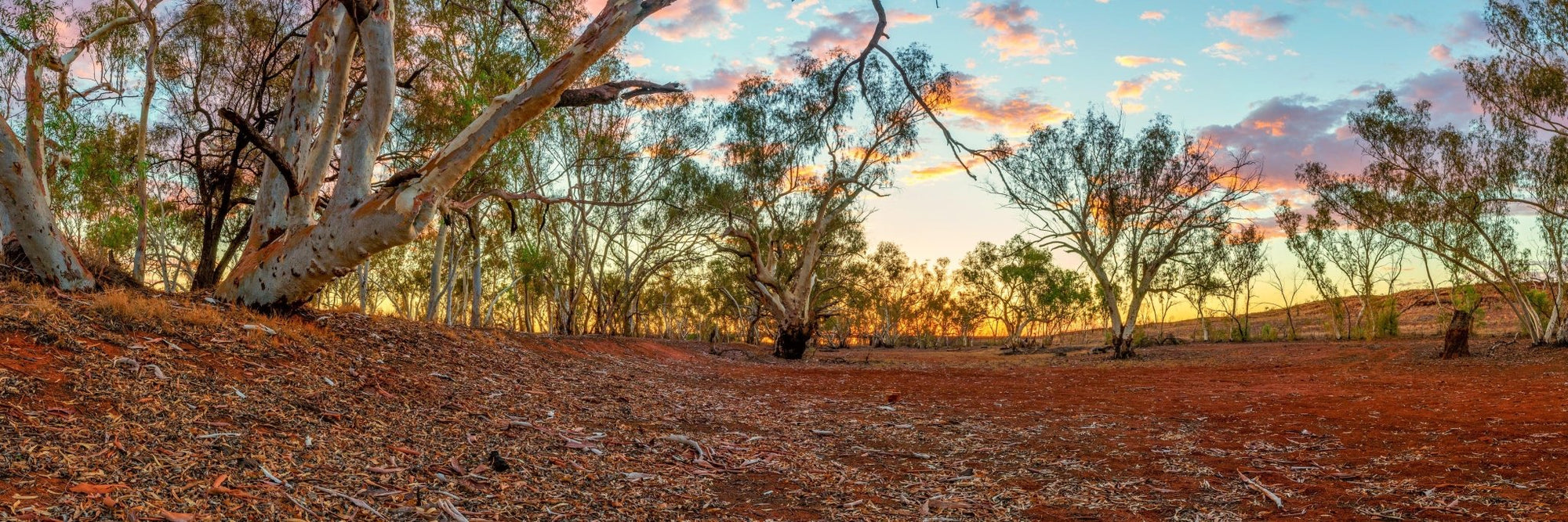 Hiroki - Newman Wall Art - Digital Download - Days Adrift