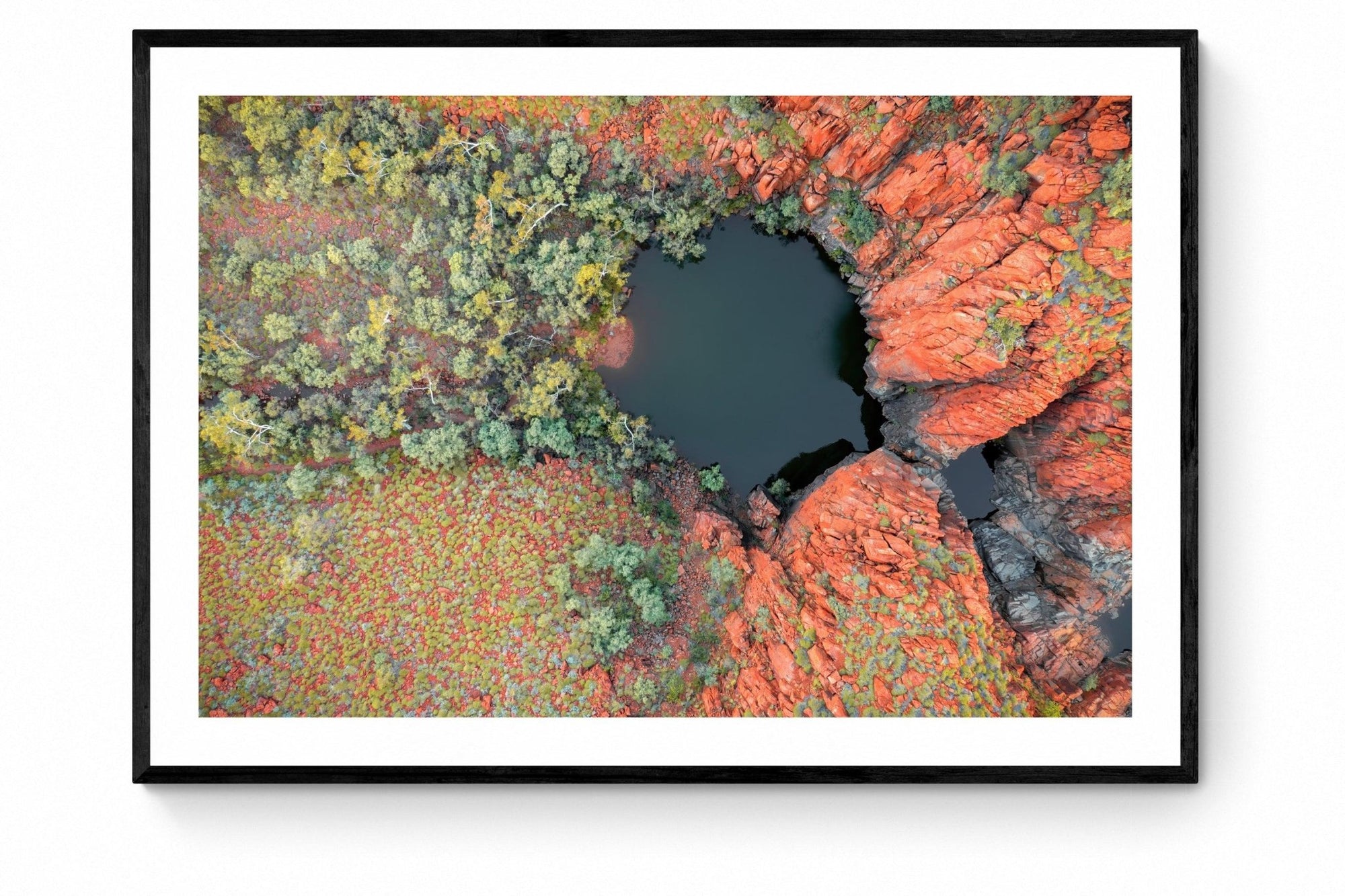 Hylas - Python Pool Wall Art - Framed Print - Days Adrift
