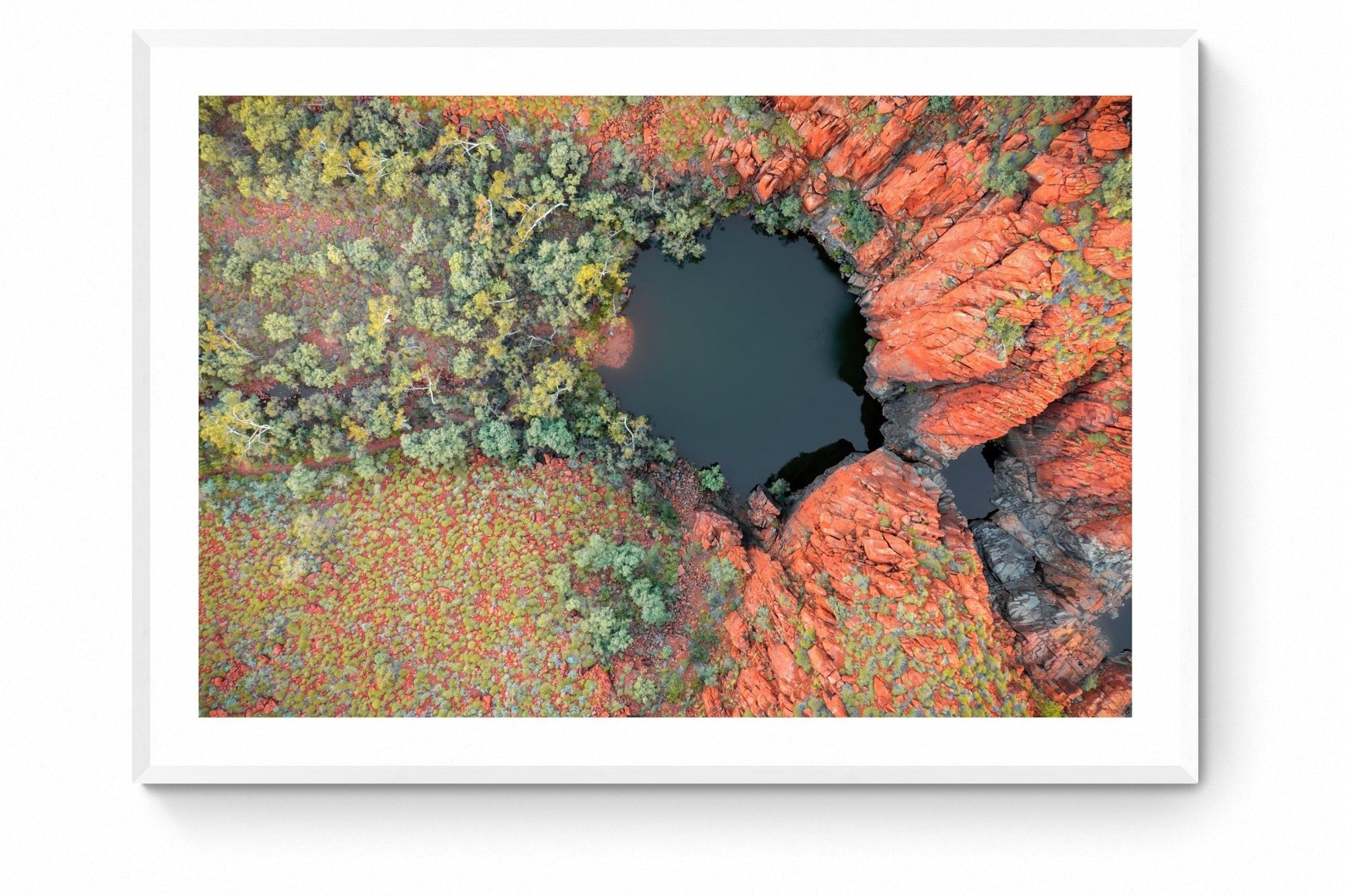 Hylas - Python Pool Wall Art - Framed Print - Days Adrift