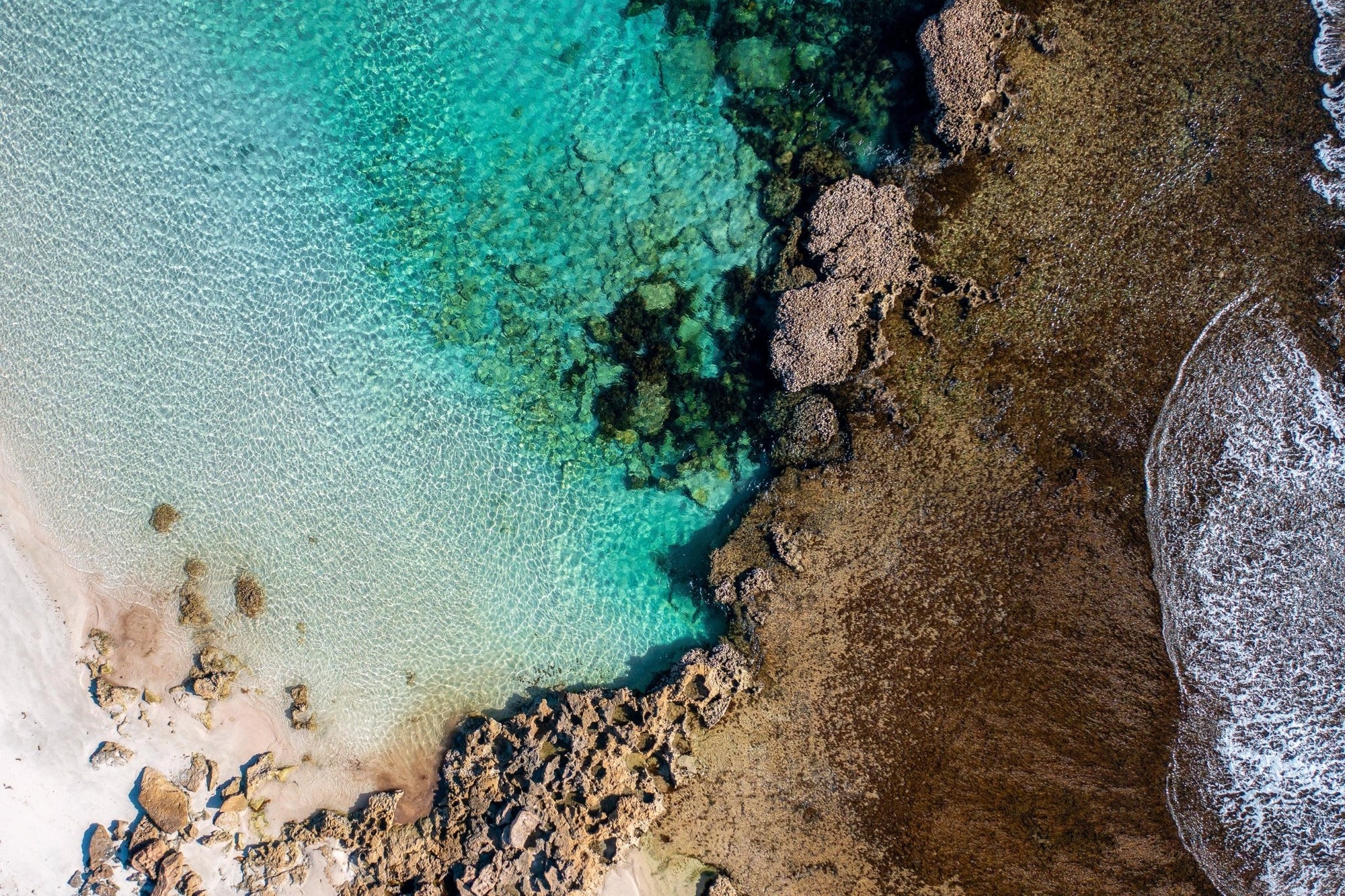 Isra - Coral Bay Wall Art - Digital Download - Days Adrift