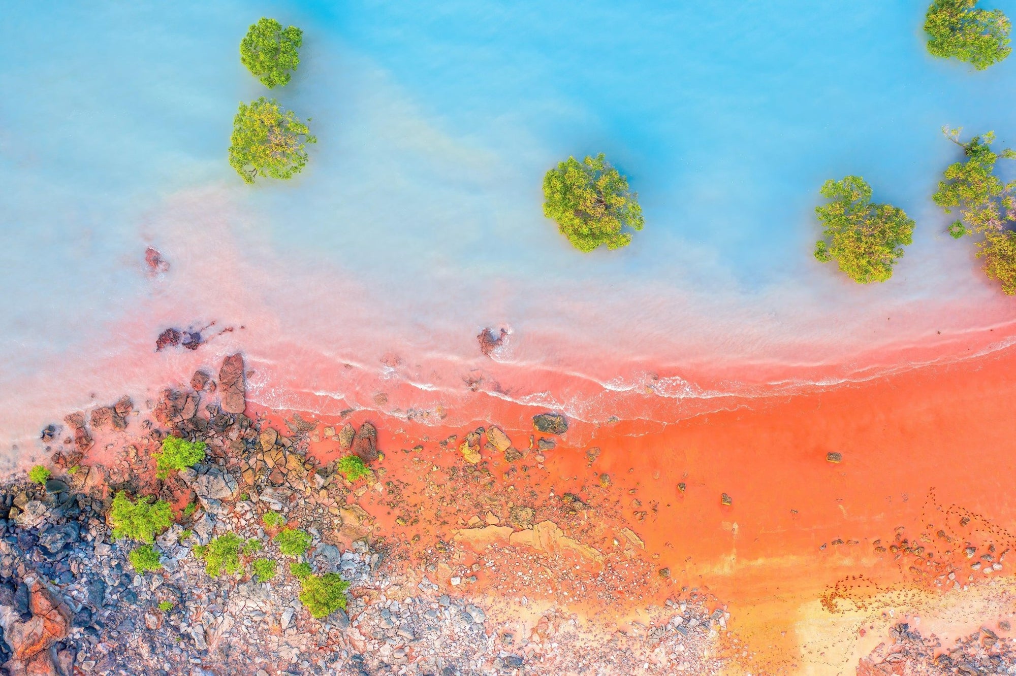 Jada - Broome Wall Art - Framed Print - Days Adrift