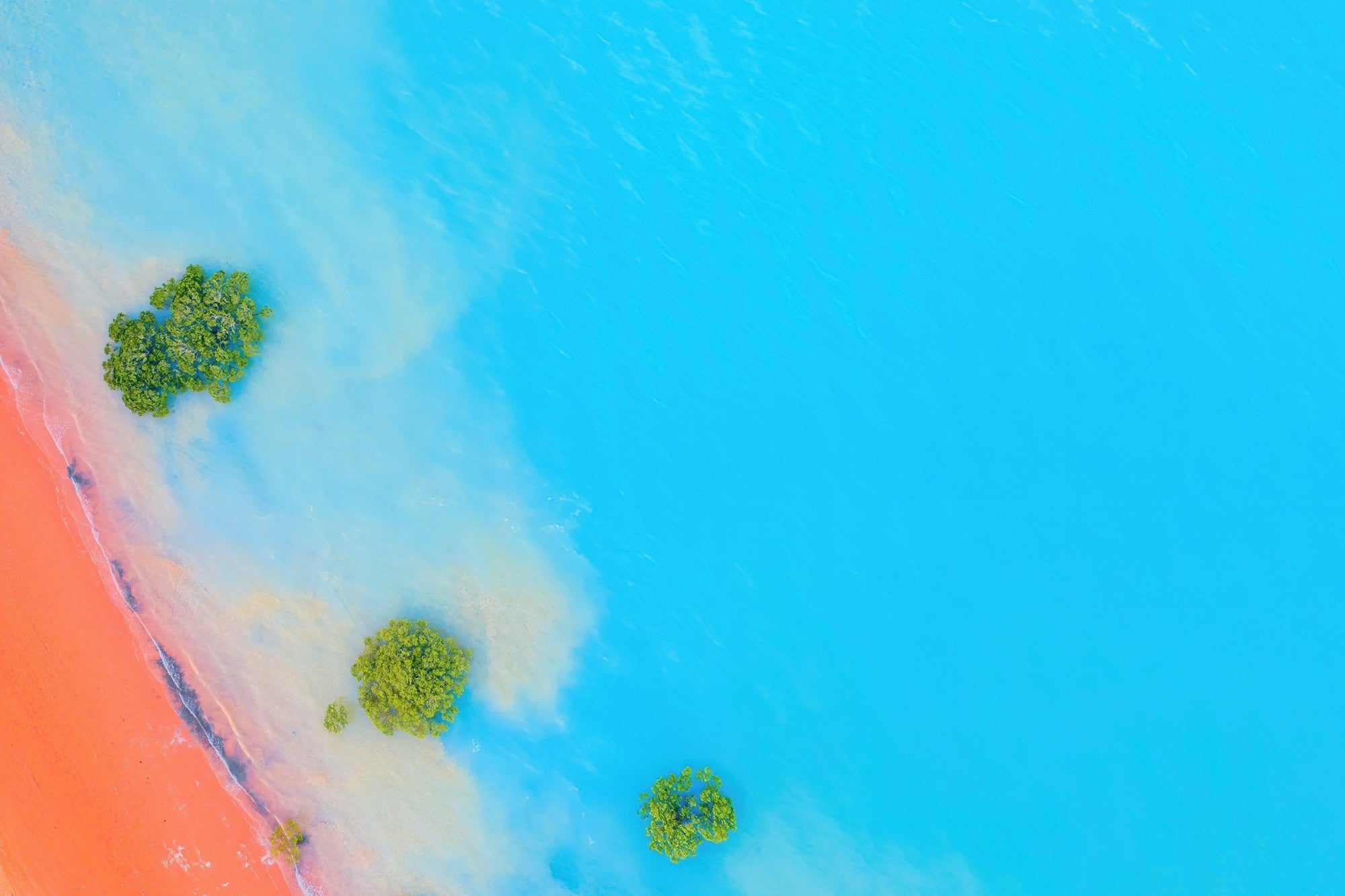 Jalen - Broome Wall Art - Framed Print - Days Adrift