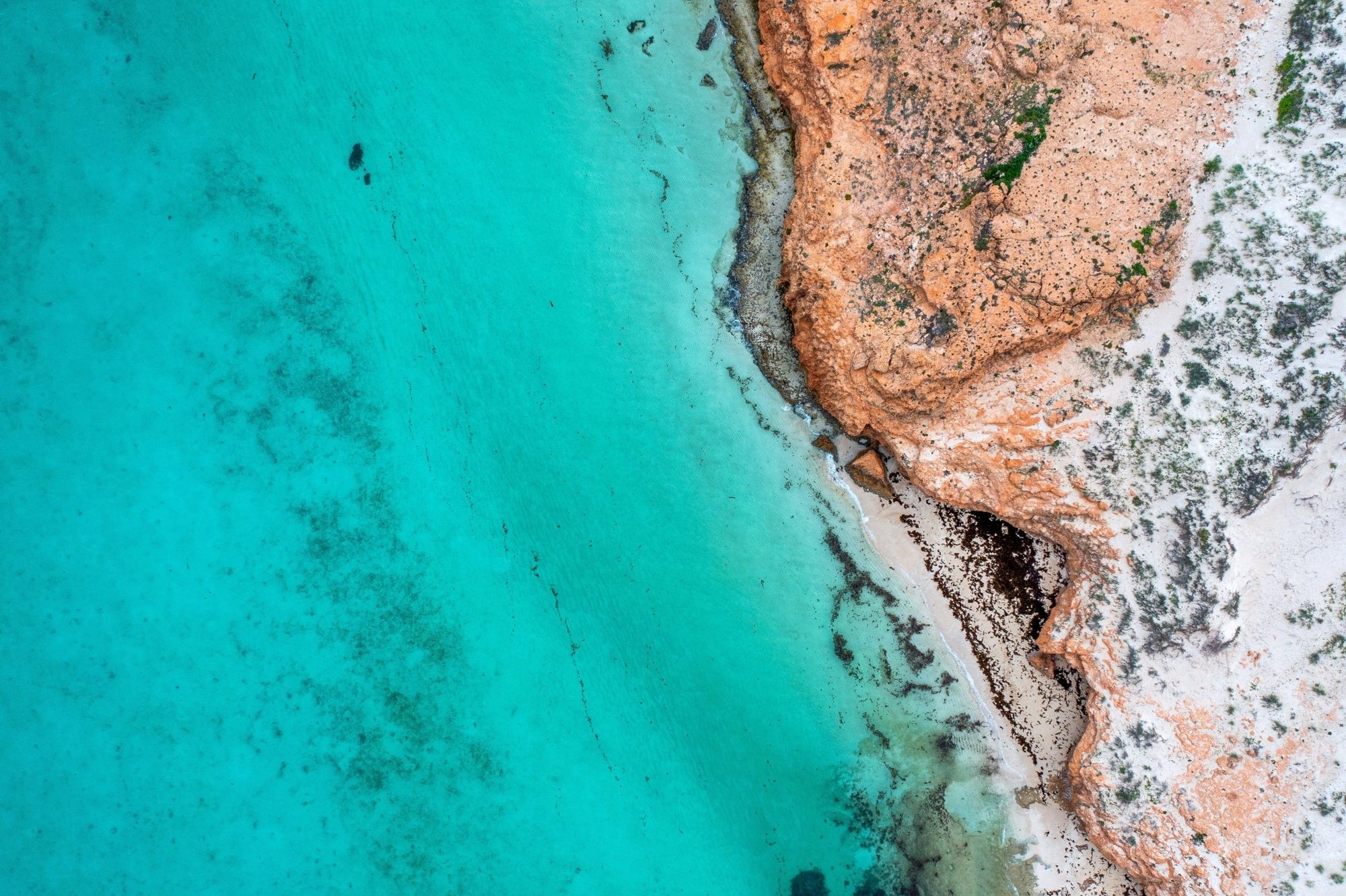 Kai - Coral Bay Wall Art - Digital Download - Days Adrift