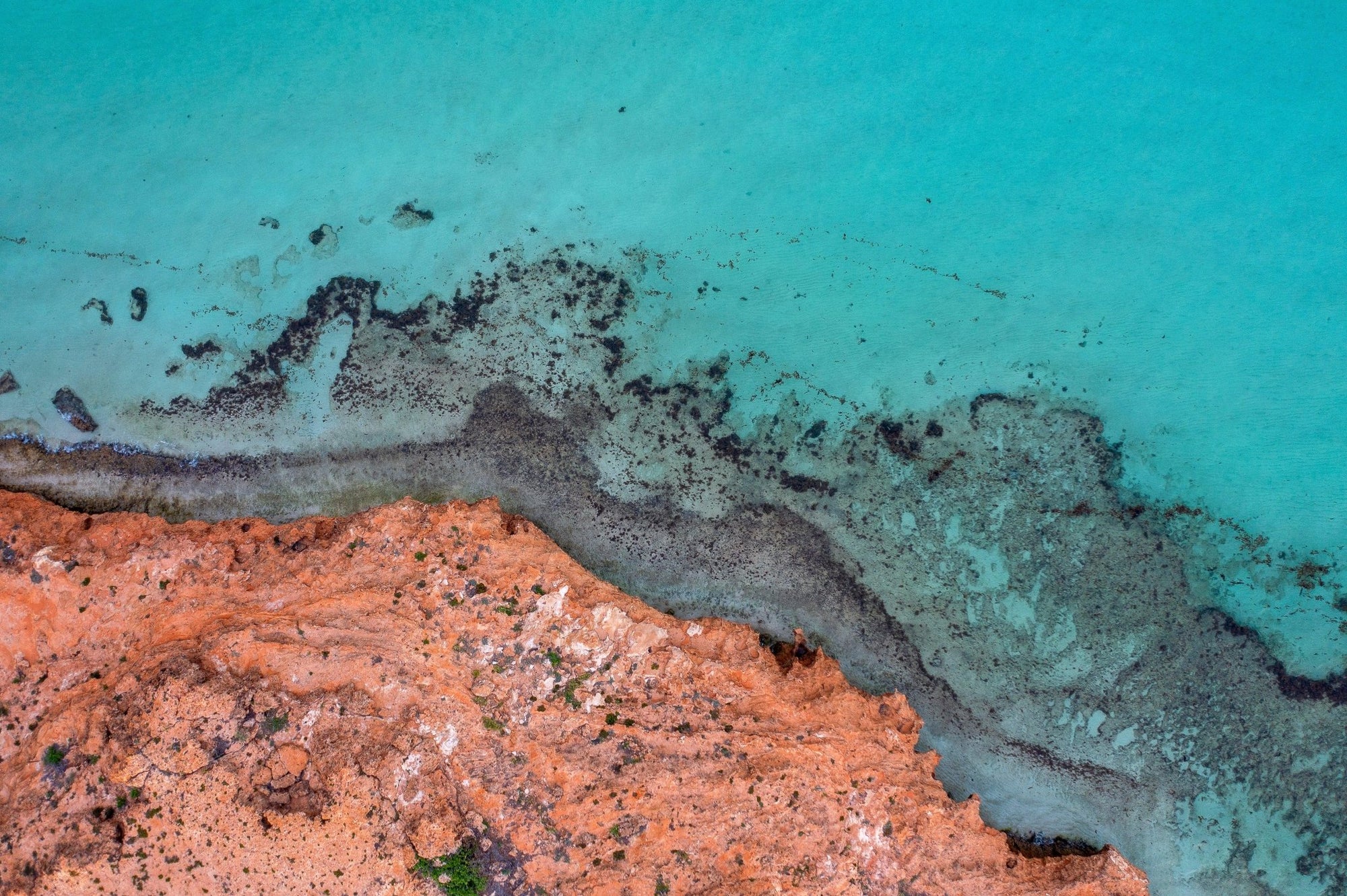 Kalen - Coral Bay Wall Art - Digital Download - Days Adrift