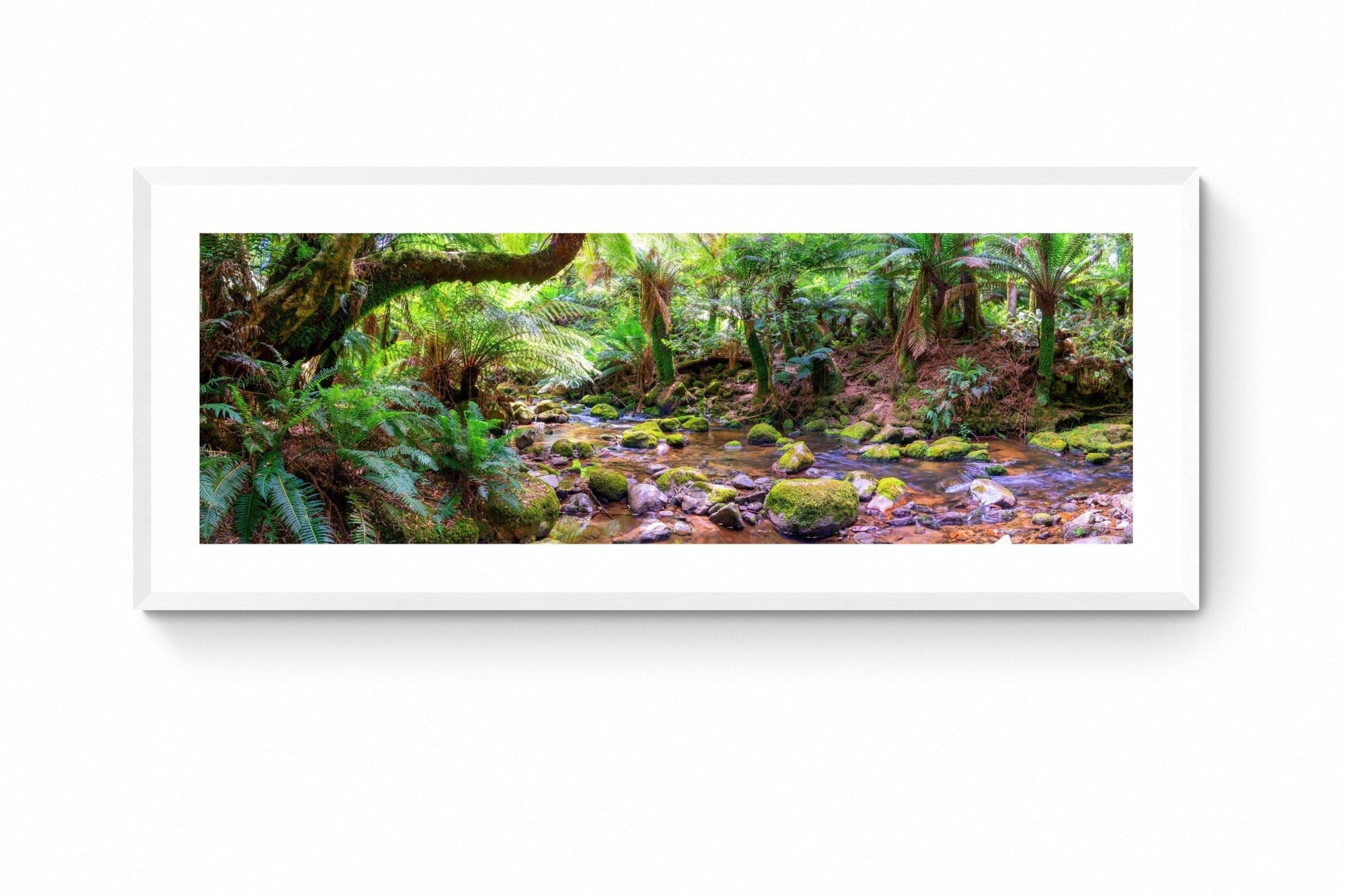 Kayla - St Columba Falls Wall Art - Framed Print - Days Adrift