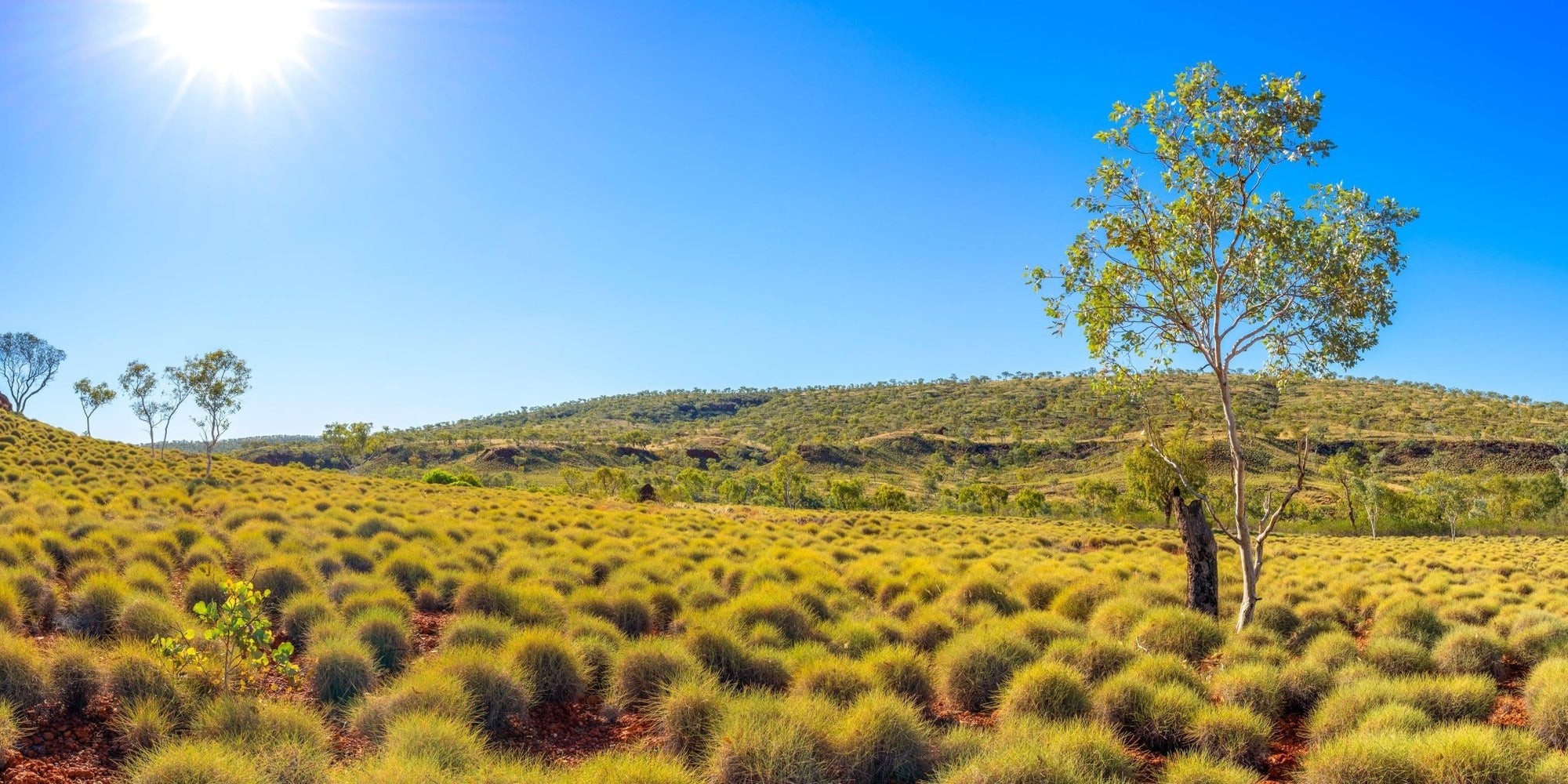 Kayson - Karijini Wall Art - Digital Download - Days Adrift