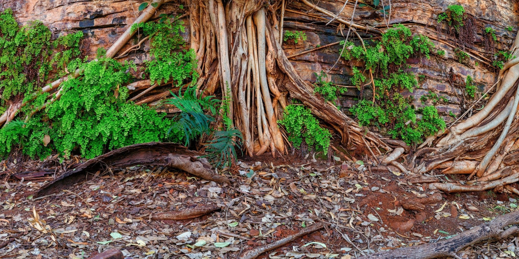 Kenzi - Karijini Wall Art - Framed Print - Days Adrift