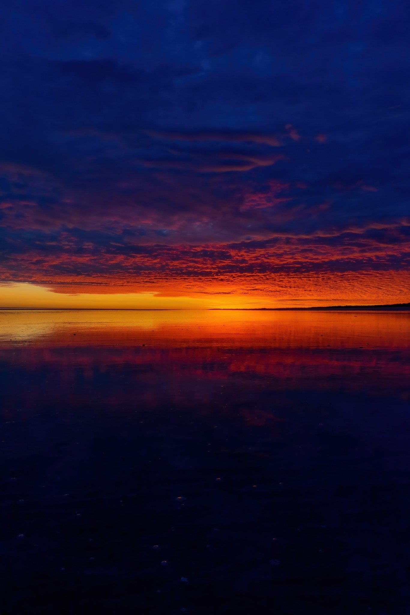 Laila - Eighty Mile Beach Wall Art - Digital Download - Days Adrift