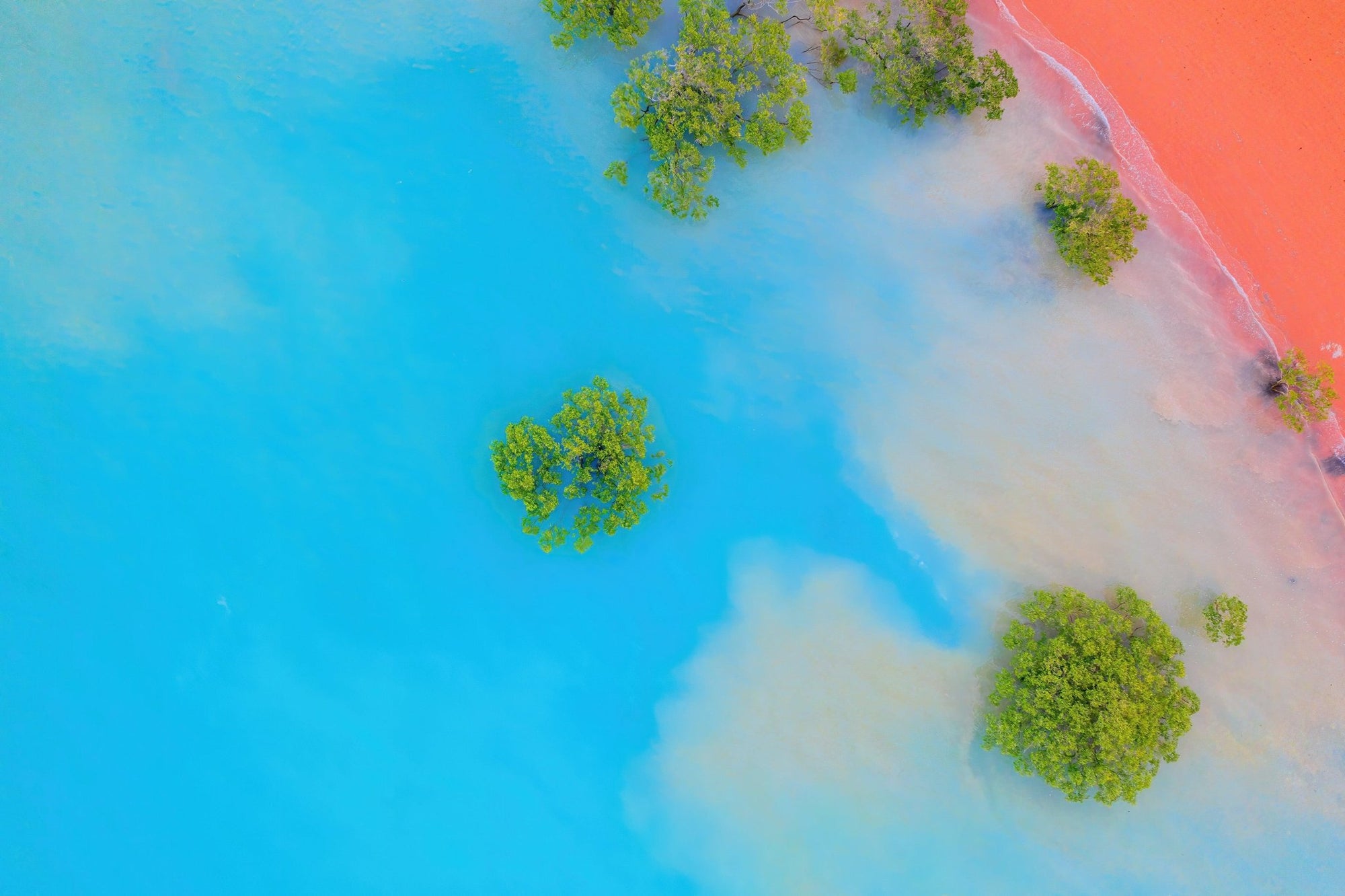 Laith - Broome Wall Art - Digital Download - Days Adrift