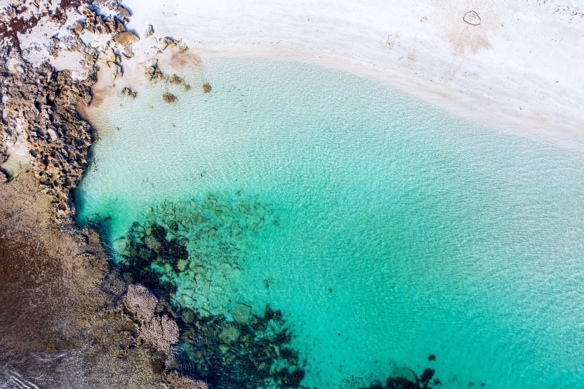 Luka - Coral Bay Wall Art - Digital Download - Days Adrift