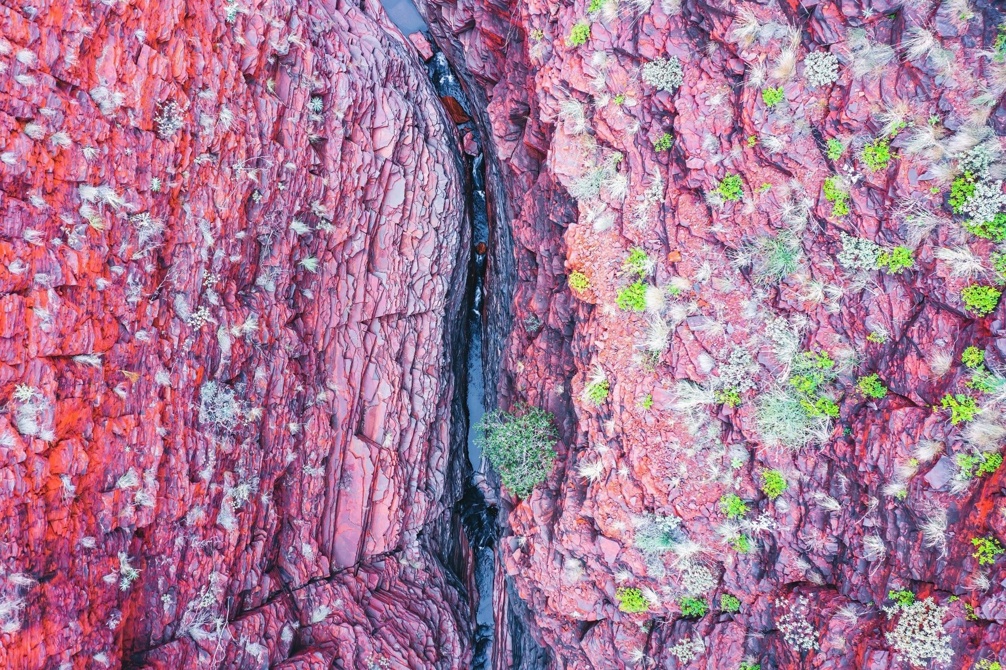 Marley - Karijini Wall Art - Digital Download - Days Adrift