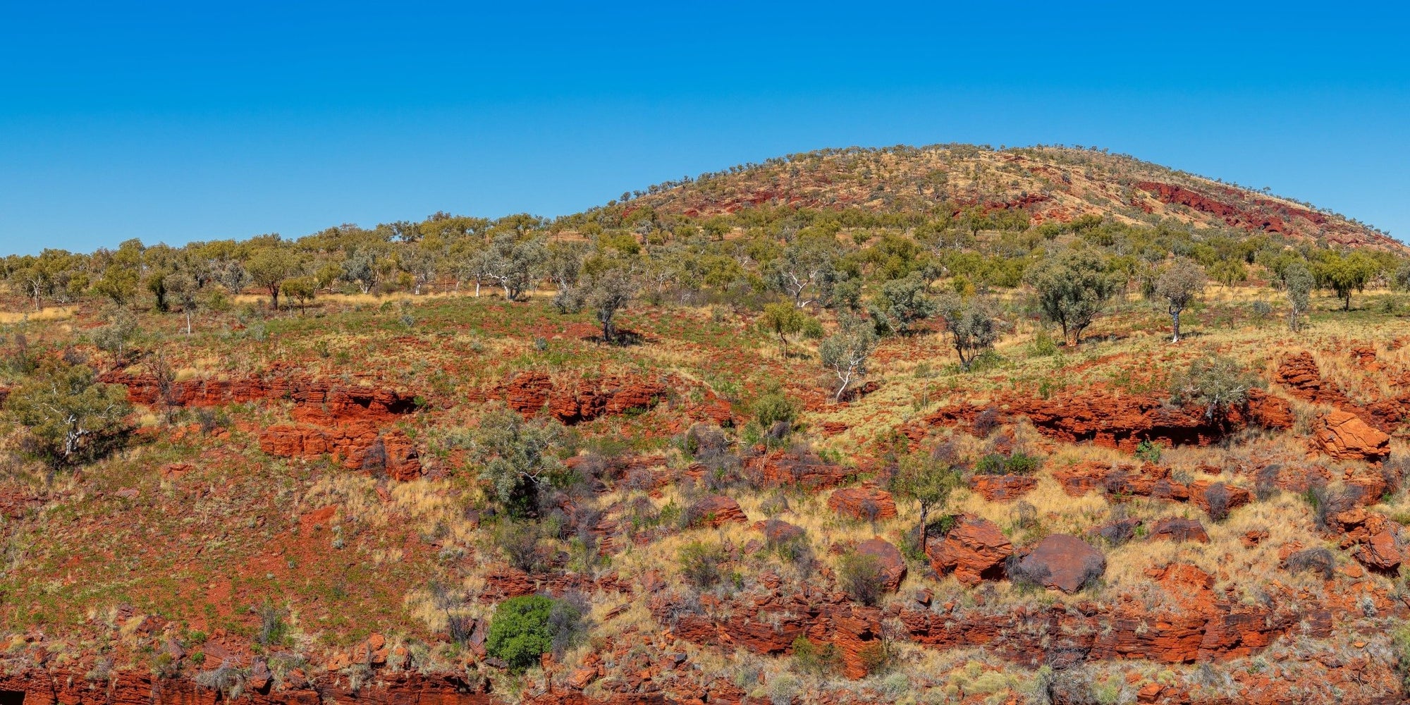 Meadow - Karijini Wall Art - Digital Download - Days Adrift